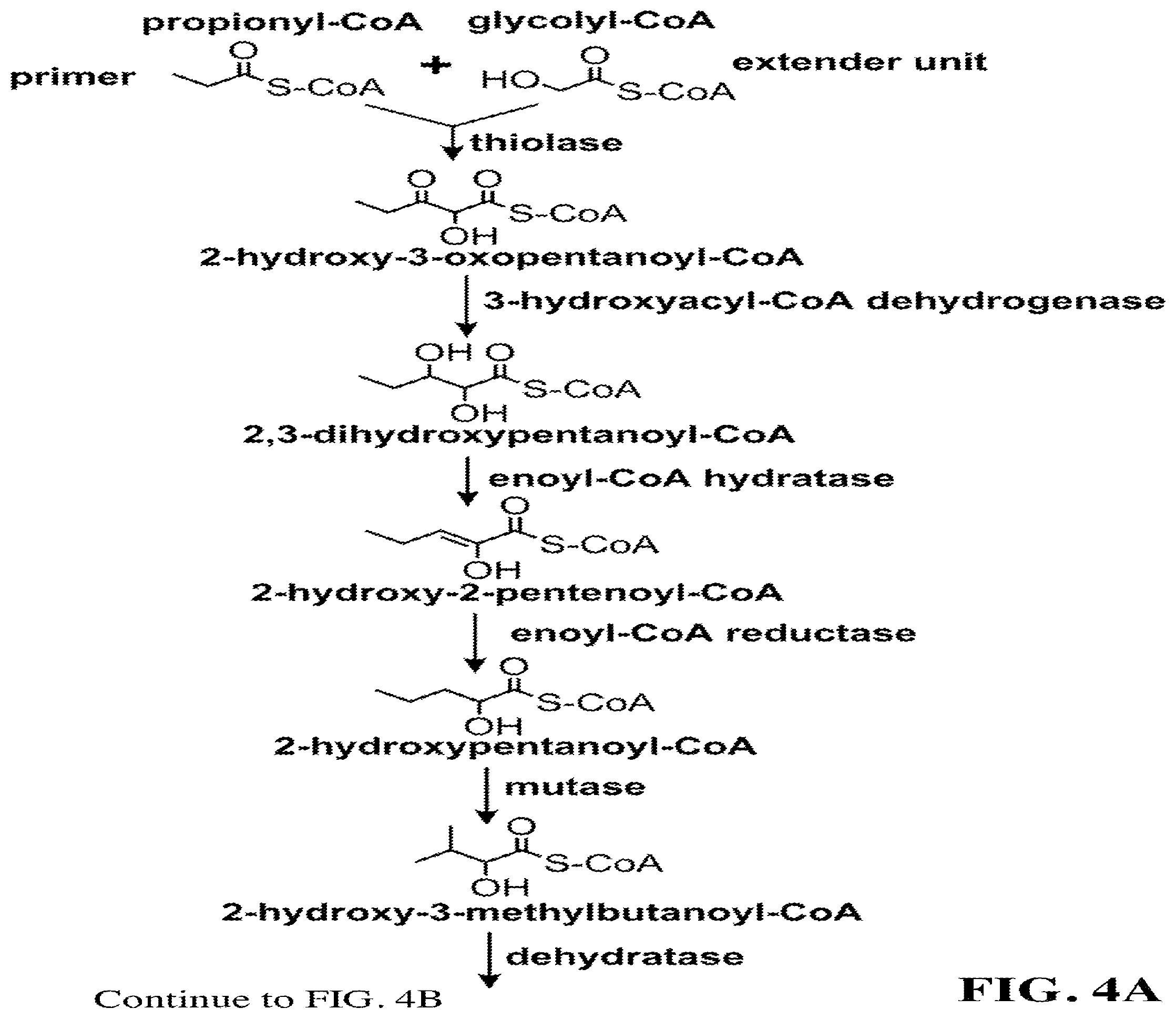 Patent US12460234 Figure 7 – Synthesis of isoprenoids and derivatives