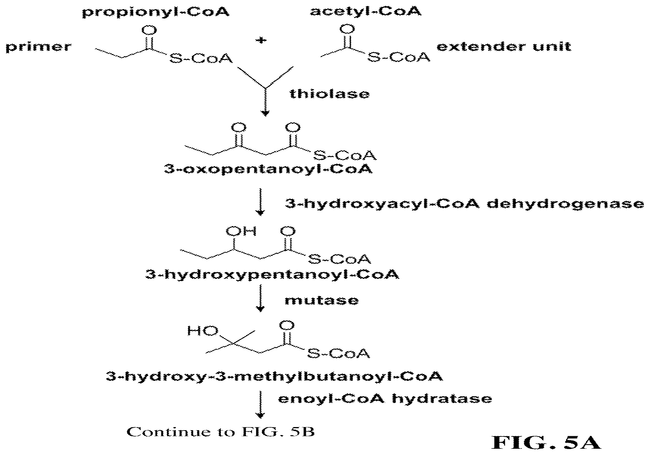Patent US12460234 Figure 9 – Synthesis of isoprenoids and derivatives