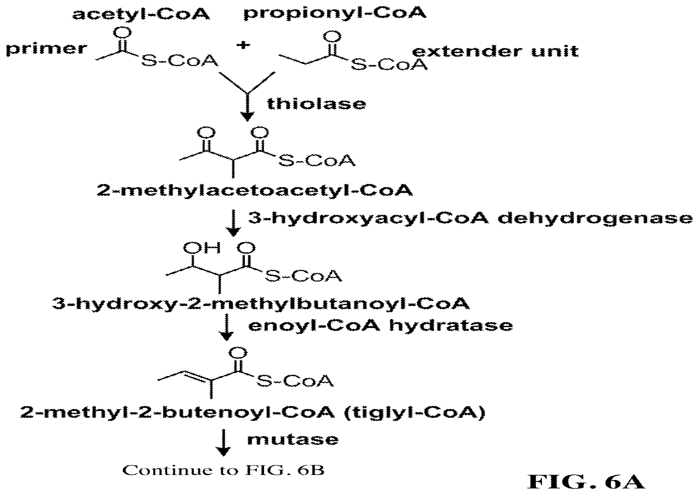 Patent US12460234 Figure 11 – Synthesis of isoprenoids and derivatives