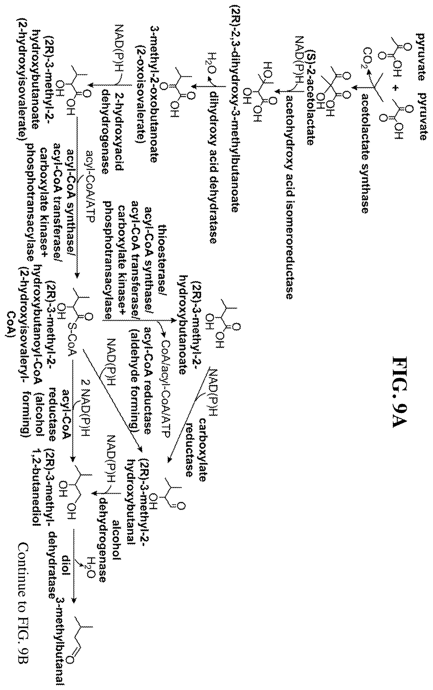 Patent US12460234 Figure 17 – Synthesis of isoprenoids and derivatives