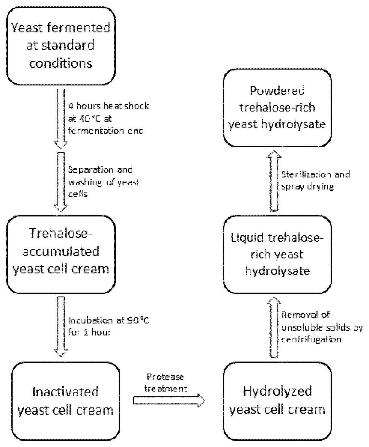 Patent US12460237 Figure 1 – Trehalose-rich yeast extract