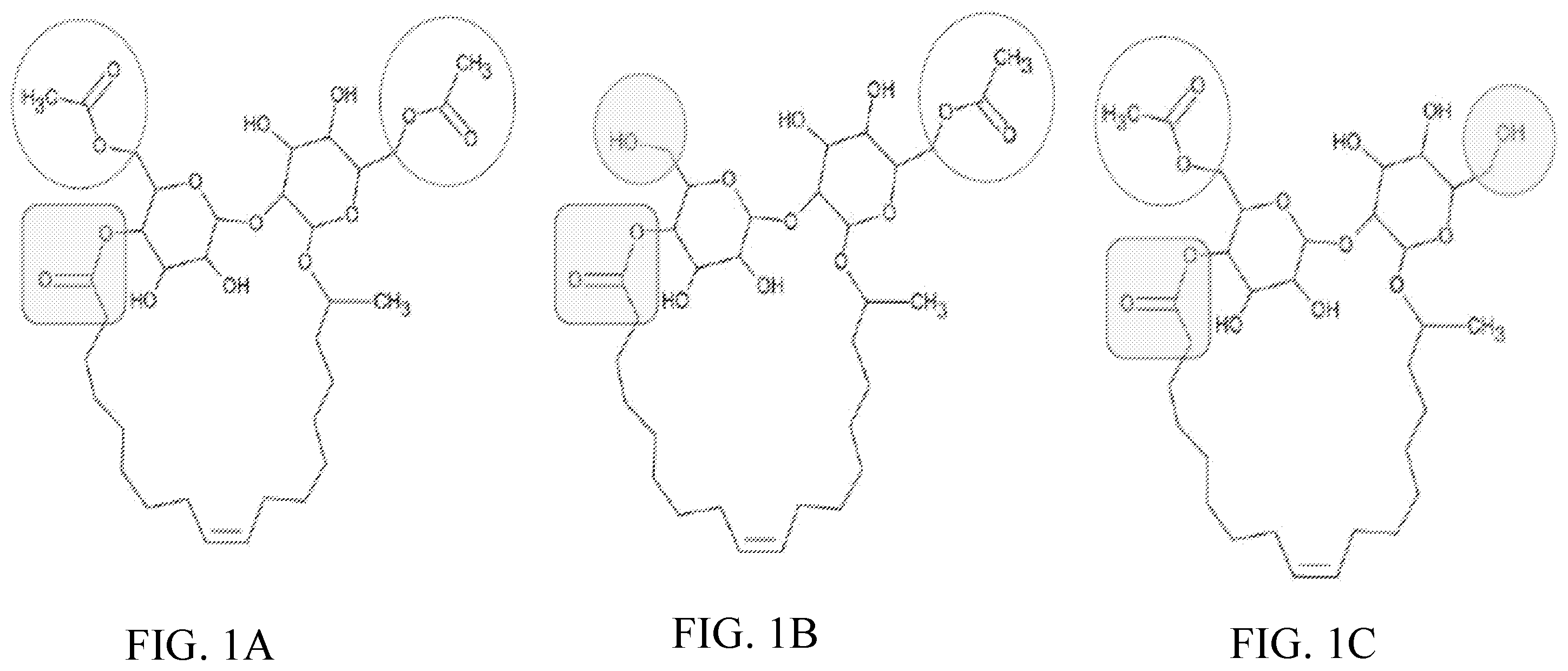 Patent US12460238 Figure 1 – Methods of producing compositions comprising hydrophilic sophorolipids
