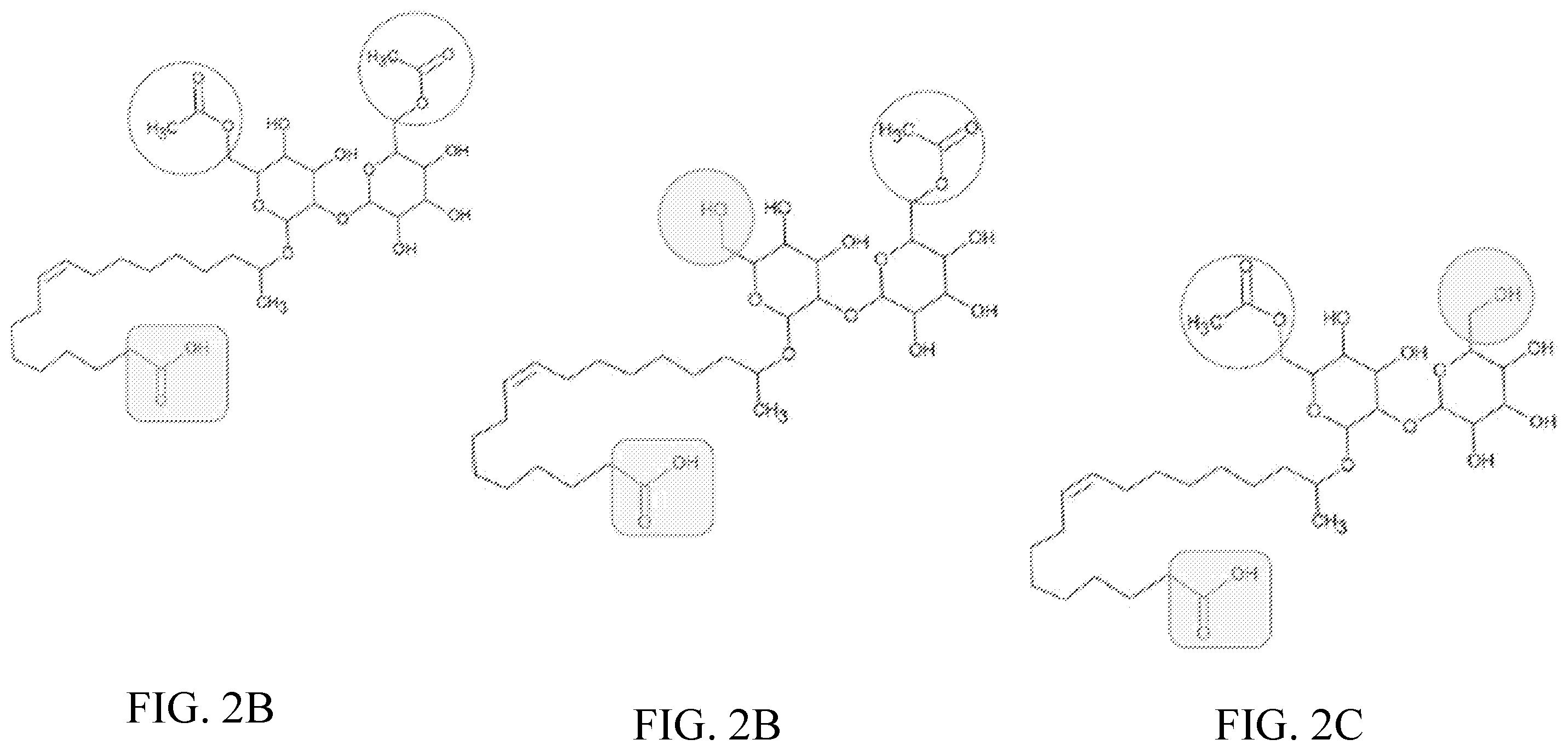 Patent US12460238 Figure 2 – Methods of producing compositions comprising hydrophilic sophorolipids