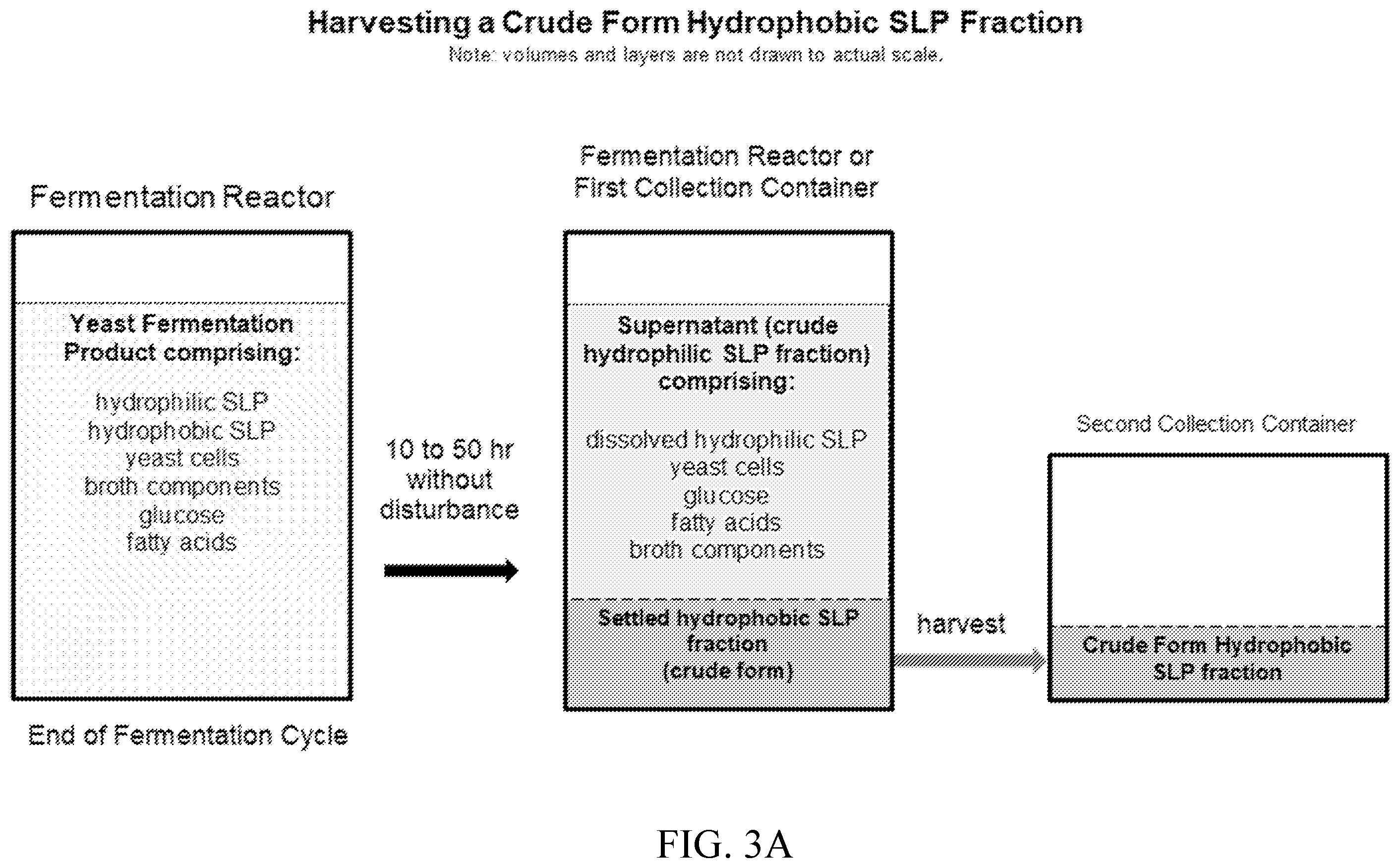 Patent US12460238 Figure 3 – Methods of producing compositions comprising hydrophilic sophorolipids