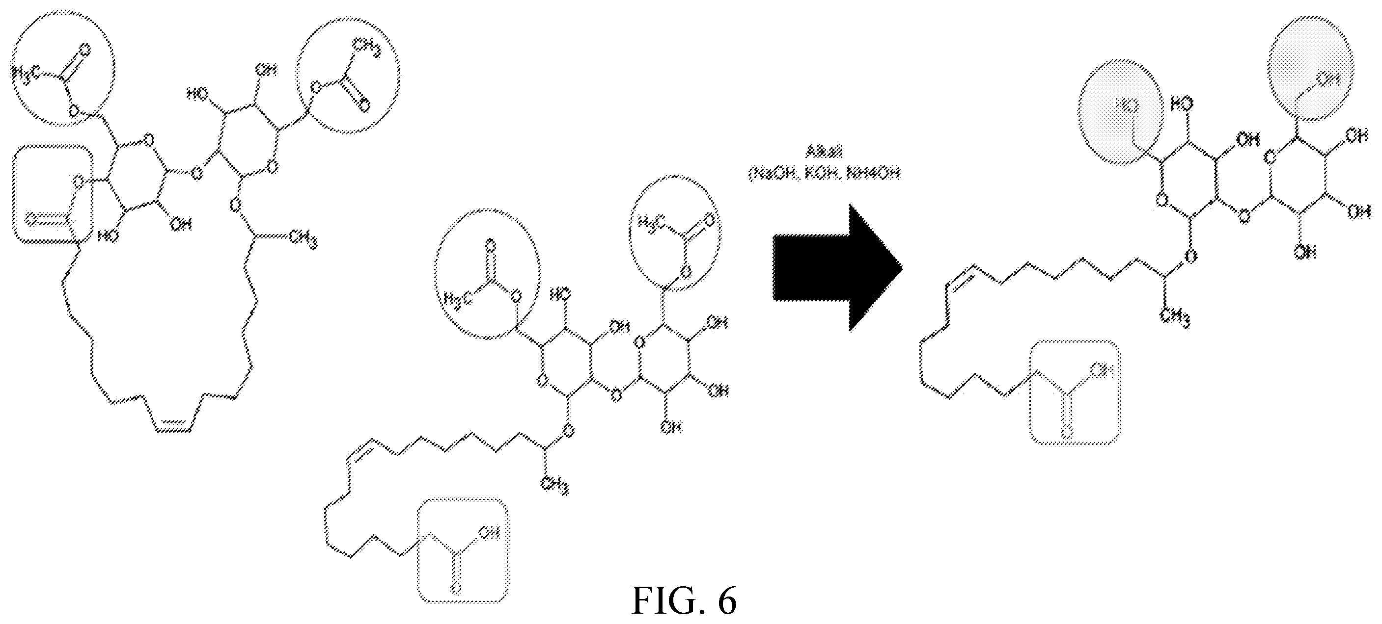 Patent US12460238 Figure 7 – Methods of producing compositions comprising hydrophilic sophorolipids