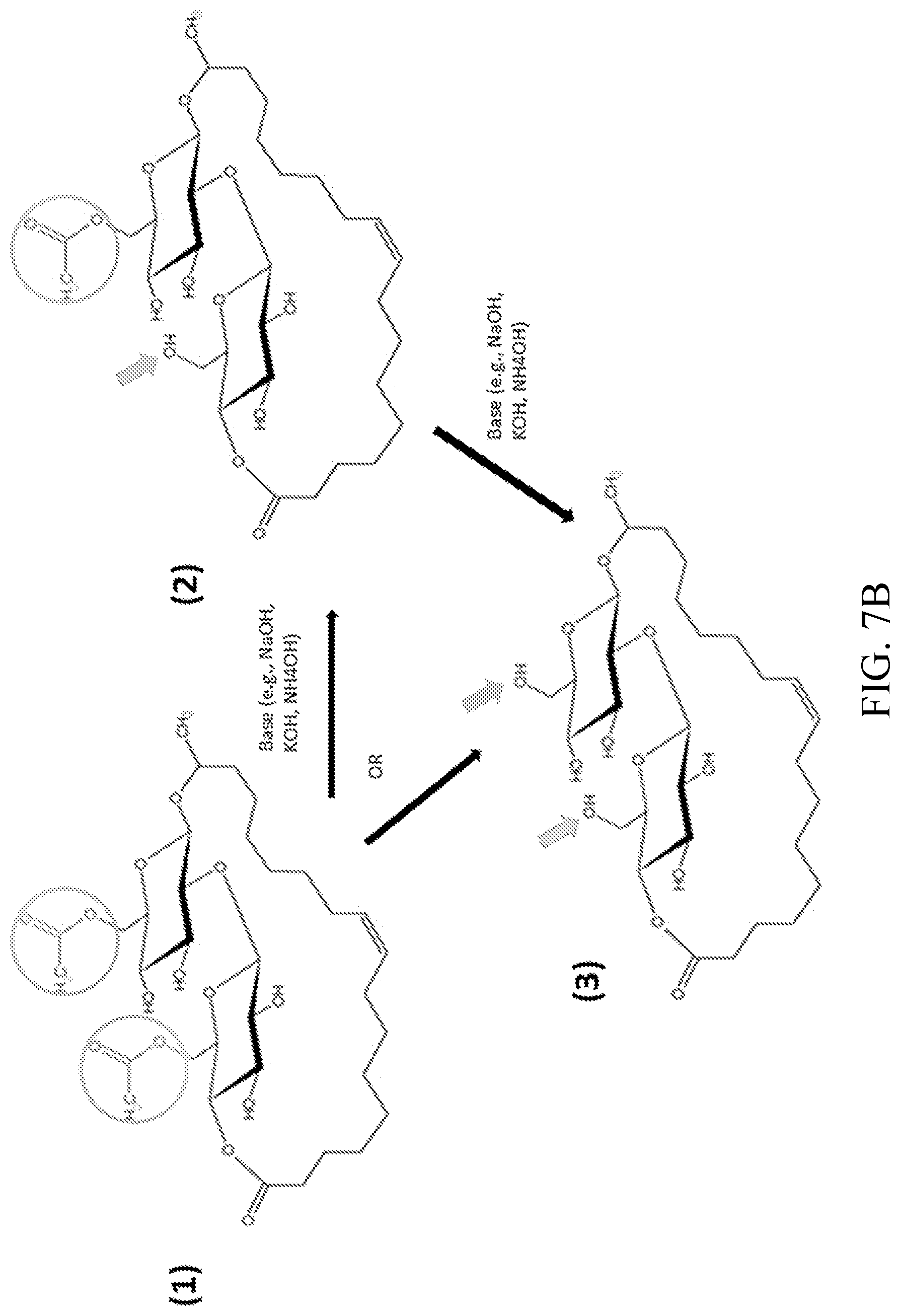 Patent US12460238 Figure 9 – Methods of producing compositions comprising hydrophilic sophorolipids