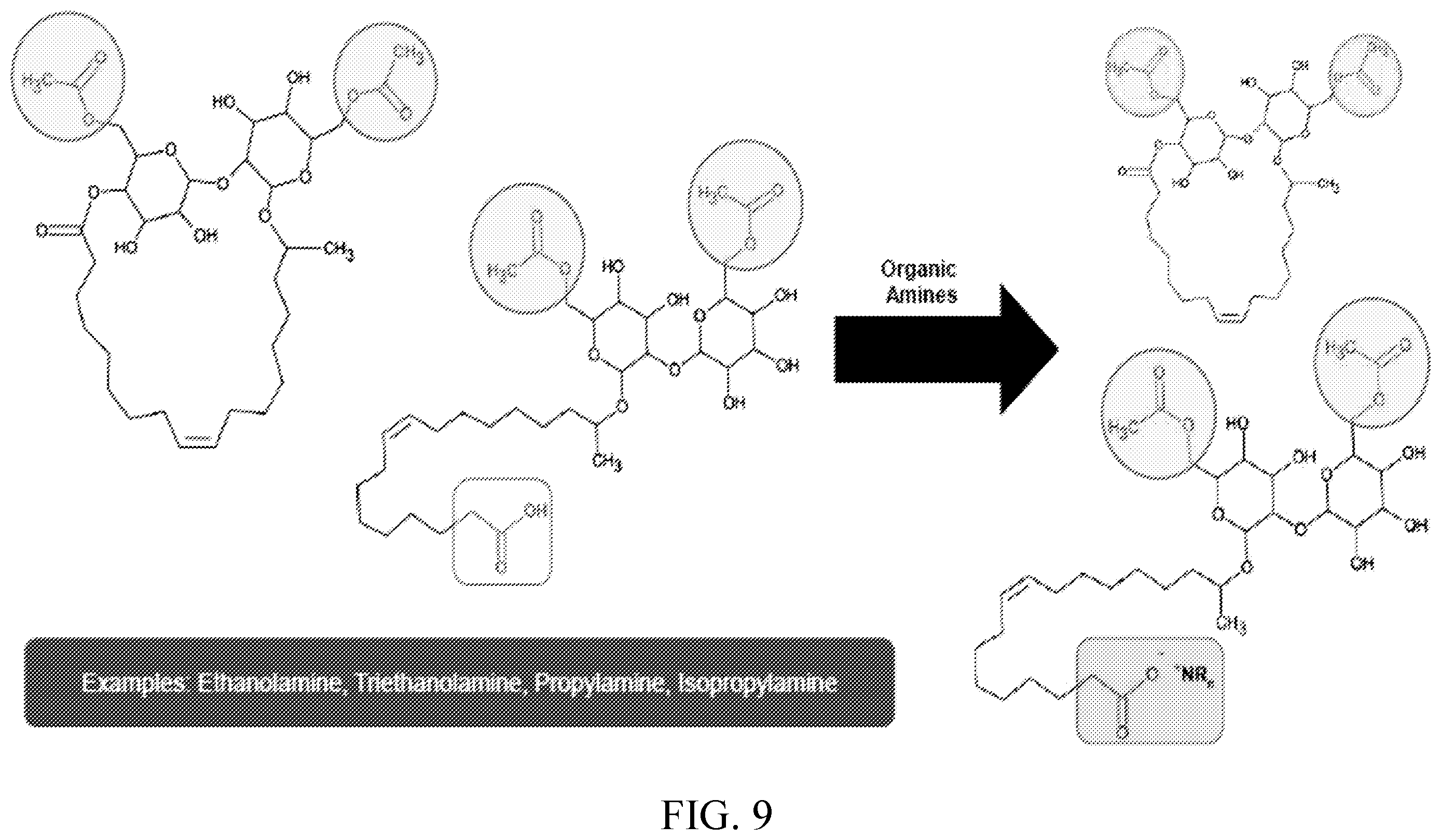Patent US12460238 Figure 11 – Methods of producing compositions comprising hydrophilic sophorolipids