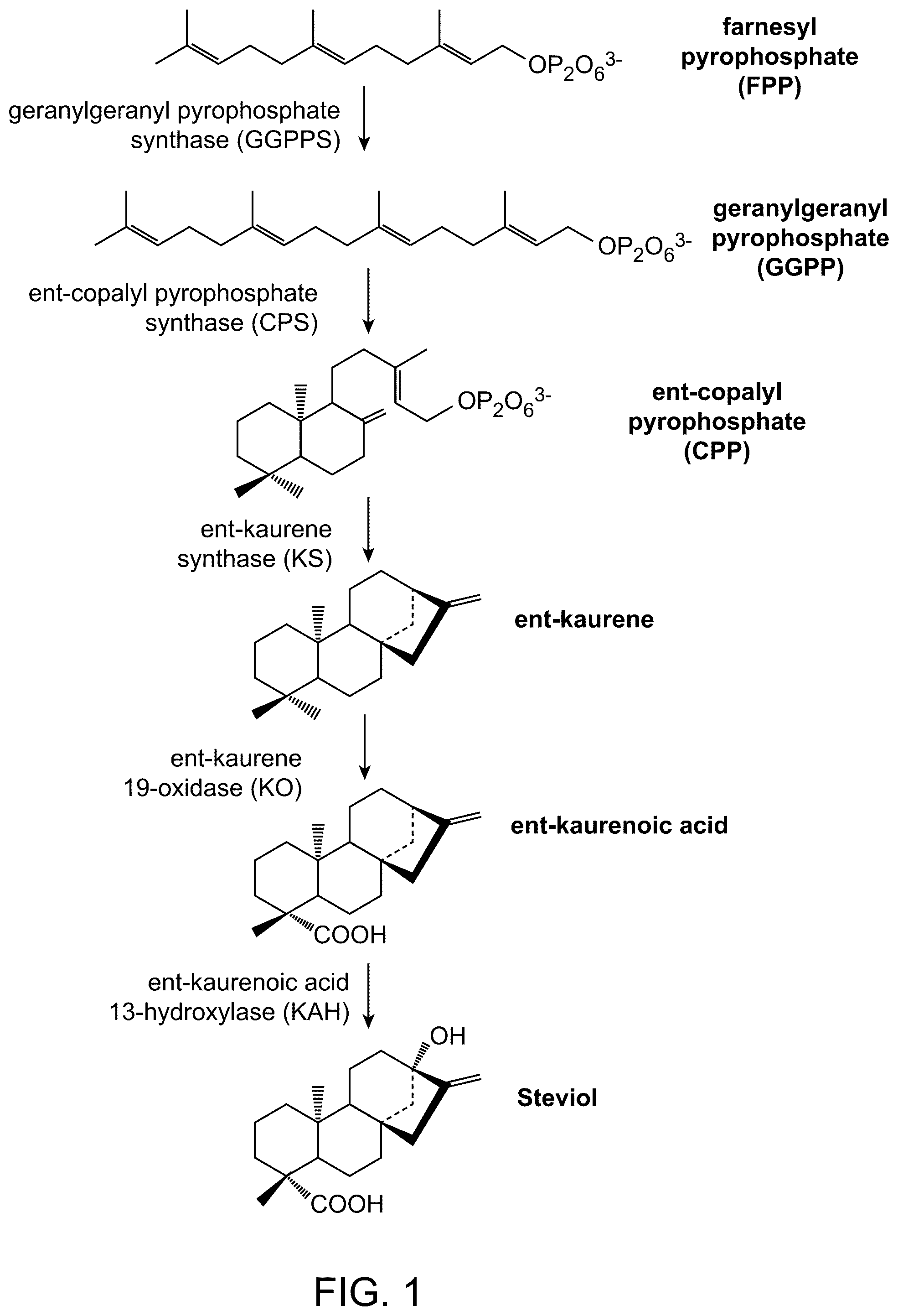 Patent US12460239 — UDP-glycosyltransferase variants and uses thereof — Figure 1