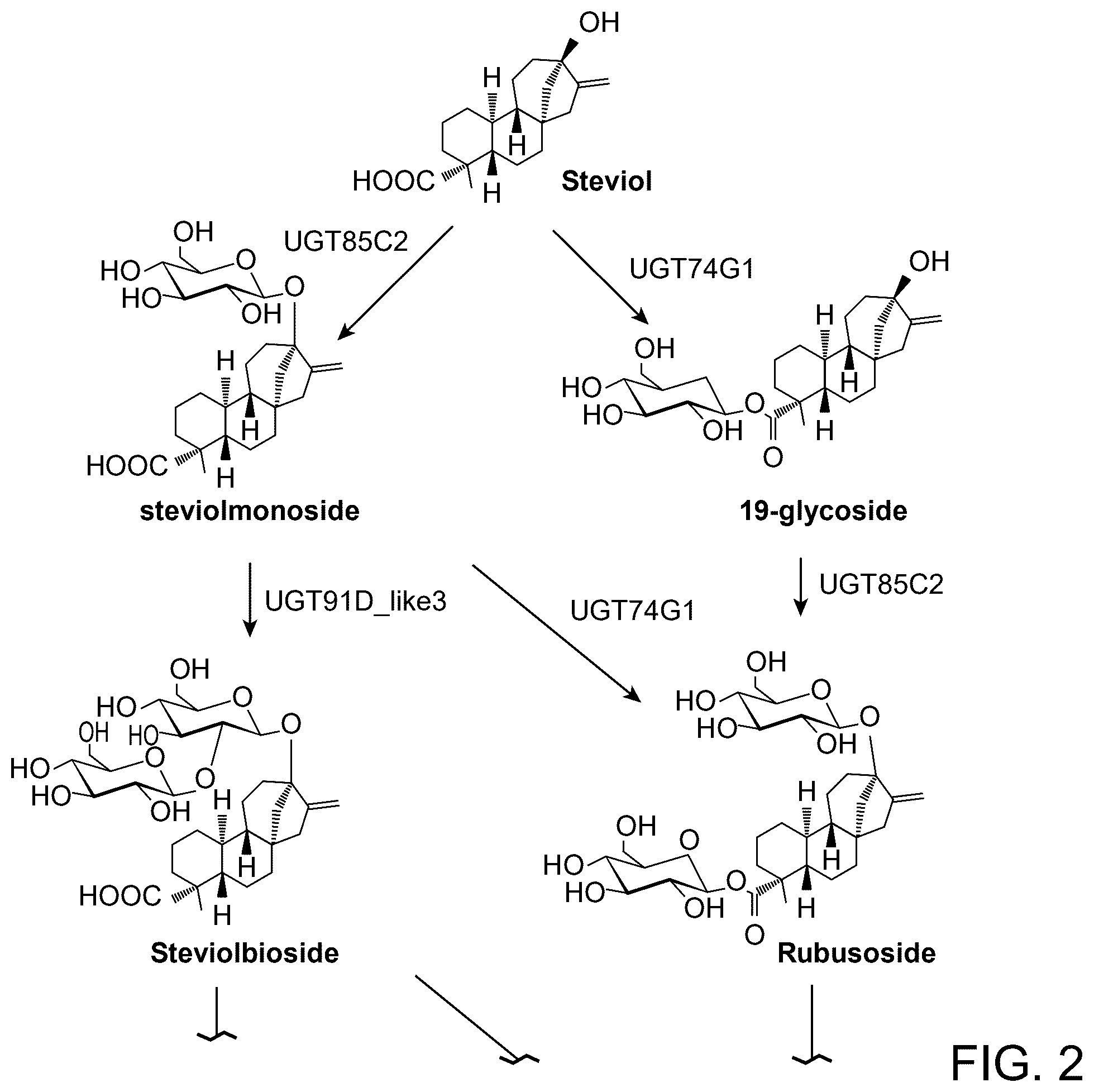 Patent US12460239 Figure 2 – UDP-glycosyltransferase variants and uses thereof