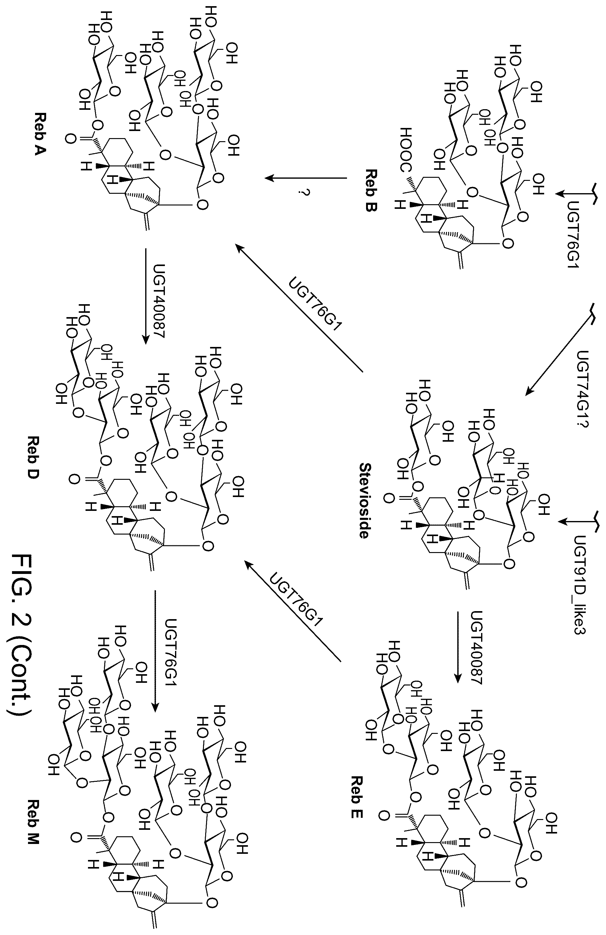 Patent US12460239 Figure 3 – UDP-glycosyltransferase variants and uses thereof