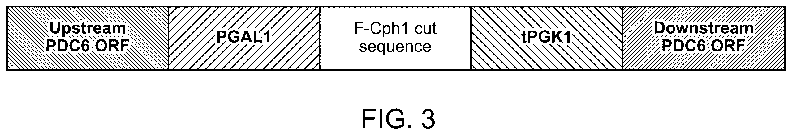 Patent US12460239 Figure 4 – UDP-glycosyltransferase variants and uses thereof