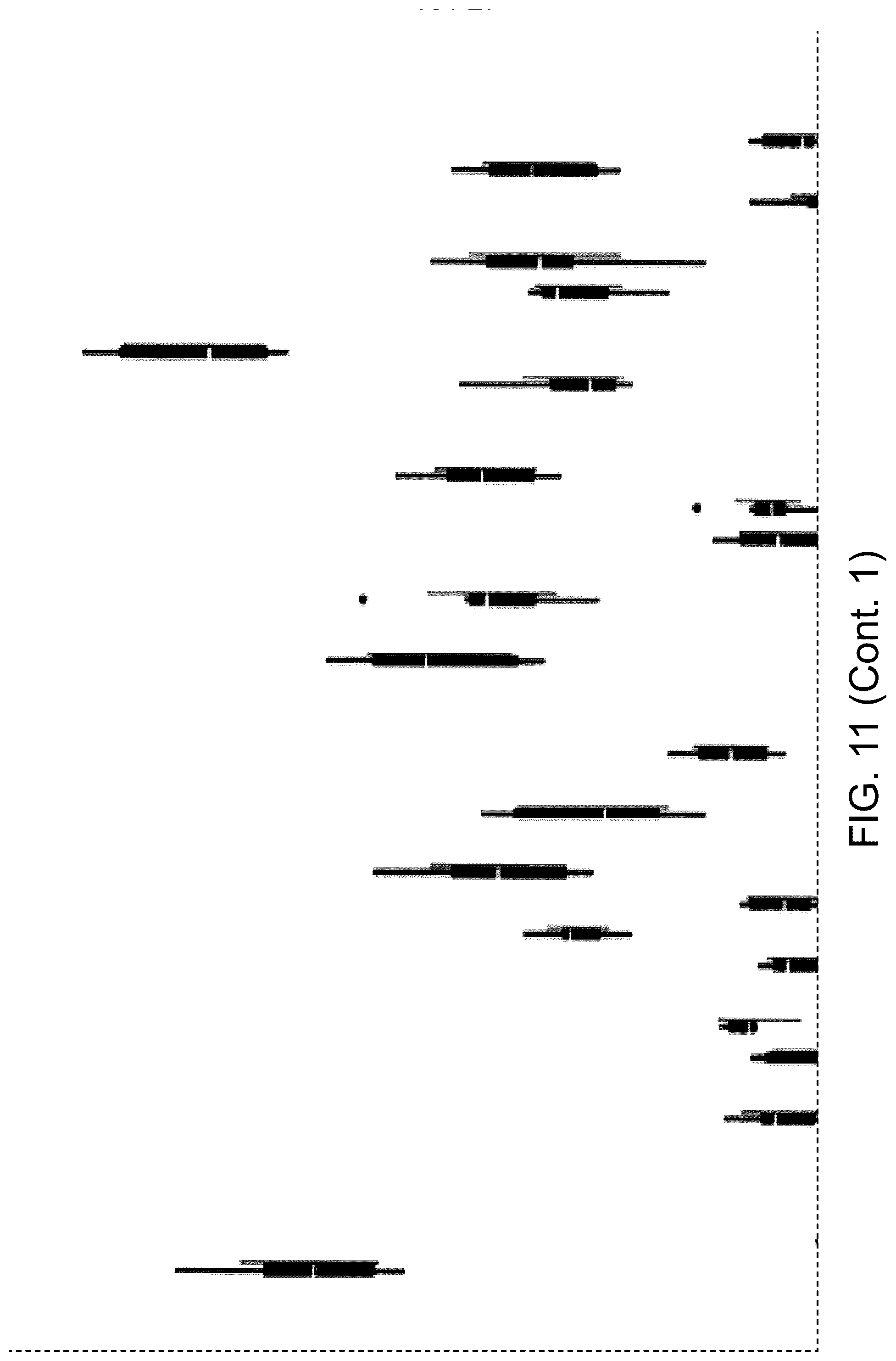 Patent US12460239 Figure 16 – UDP-glycosyltransferase variants and uses thereof