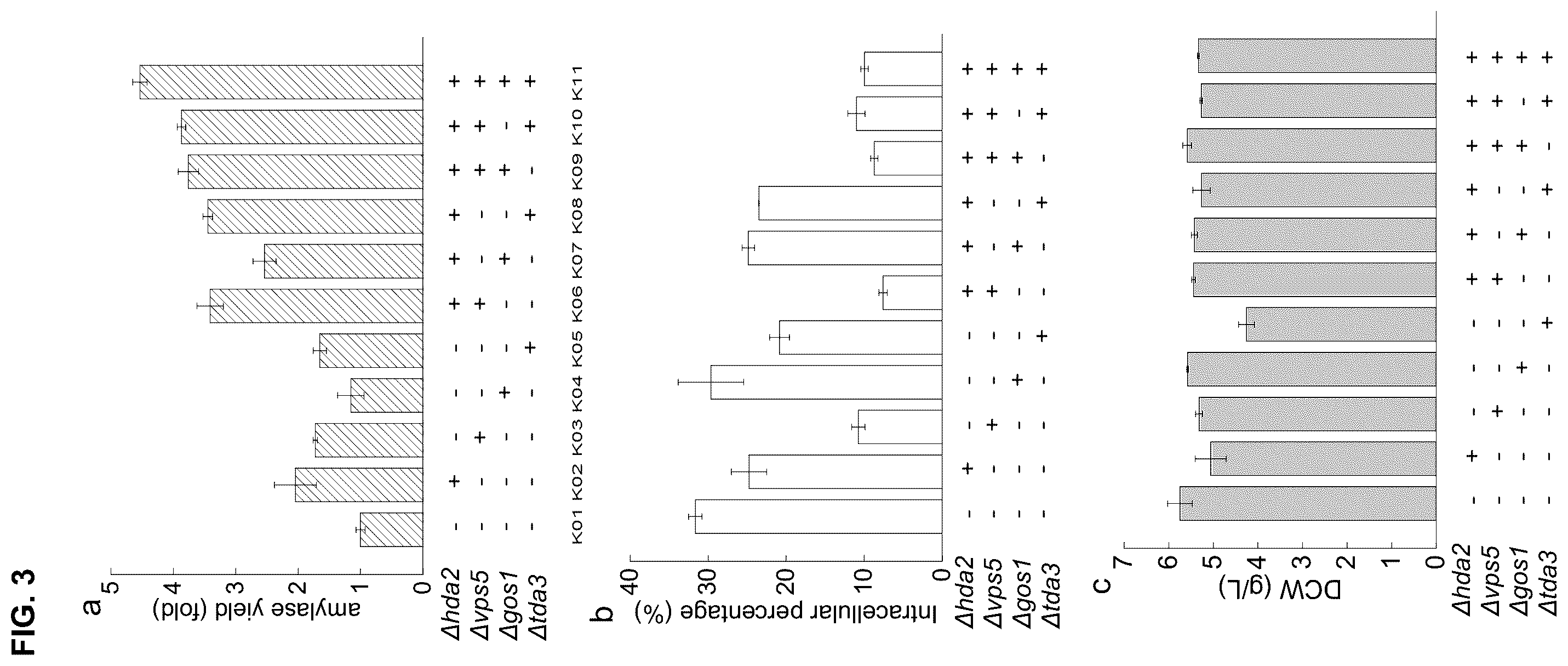Patent US12460240 Figure 3 – Fungal cell with improved protein production capacity