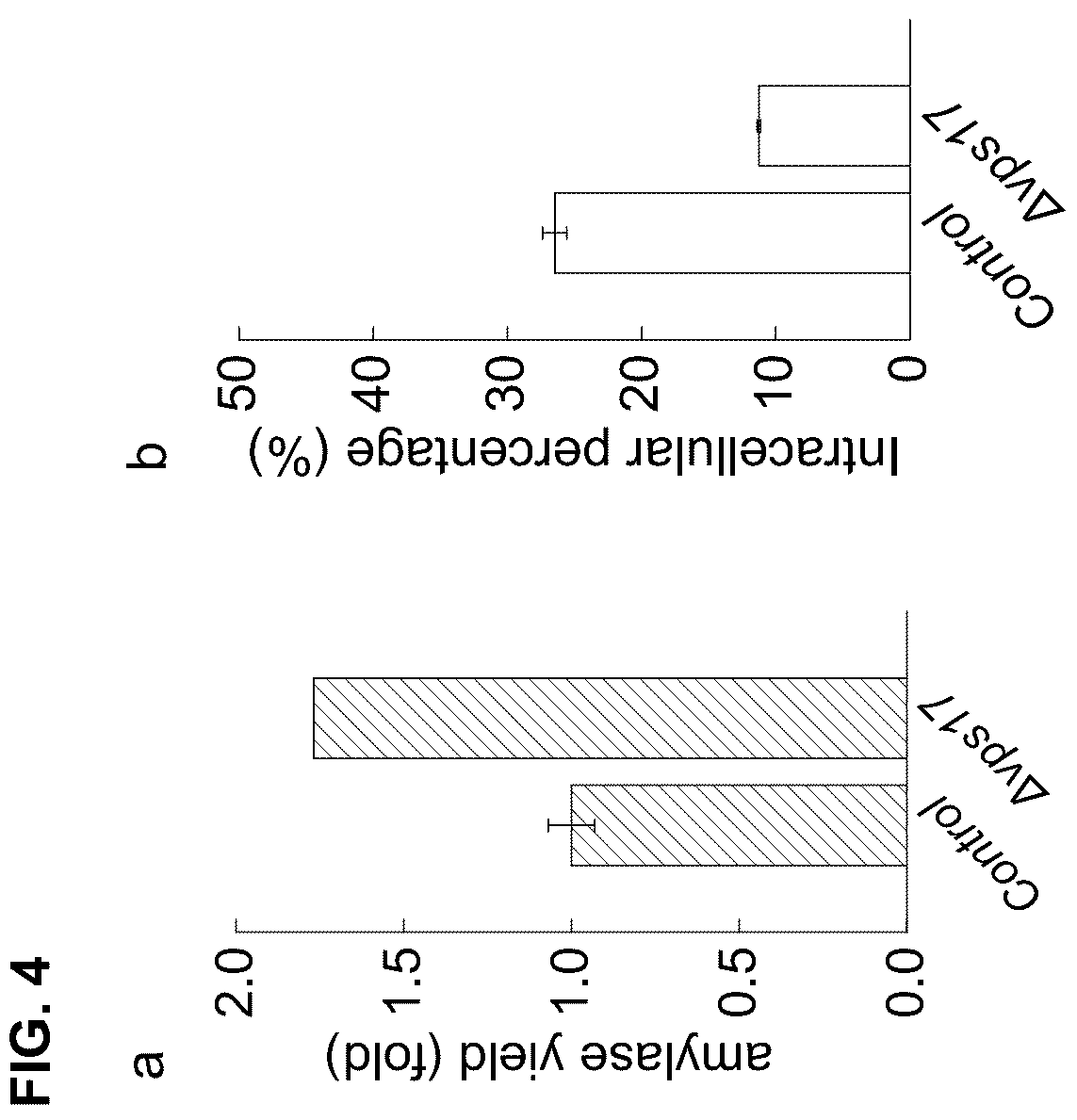 Patent US12460240 Figure 4 – Fungal cell with improved protein production capacity