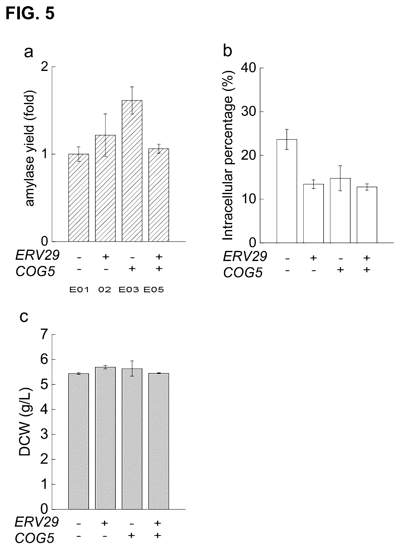 Patent US12460240 Figure 5 – Fungal cell with improved protein production capacity