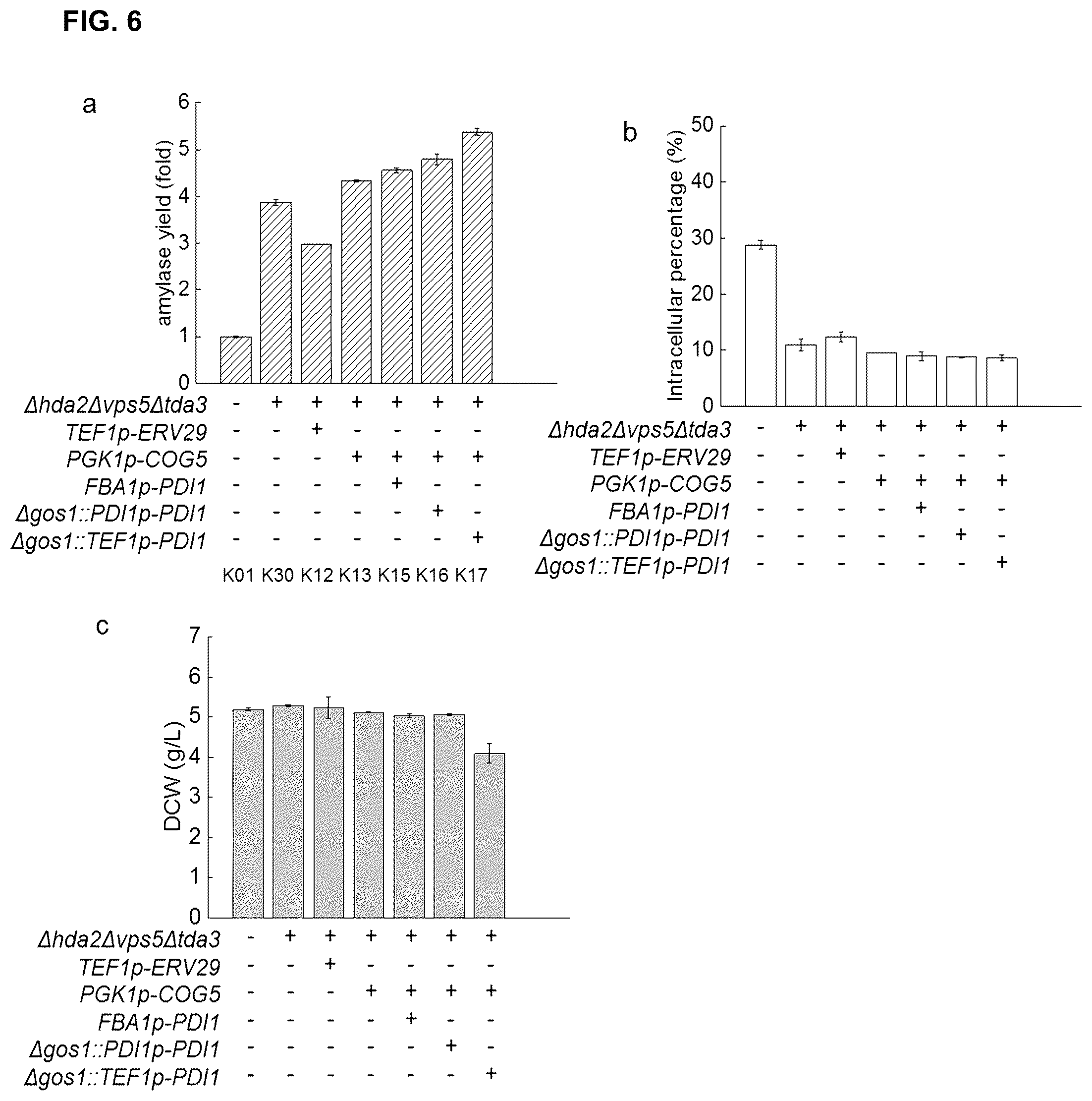 Patent US12460240 Figure 6 – Fungal cell with improved protein production capacity