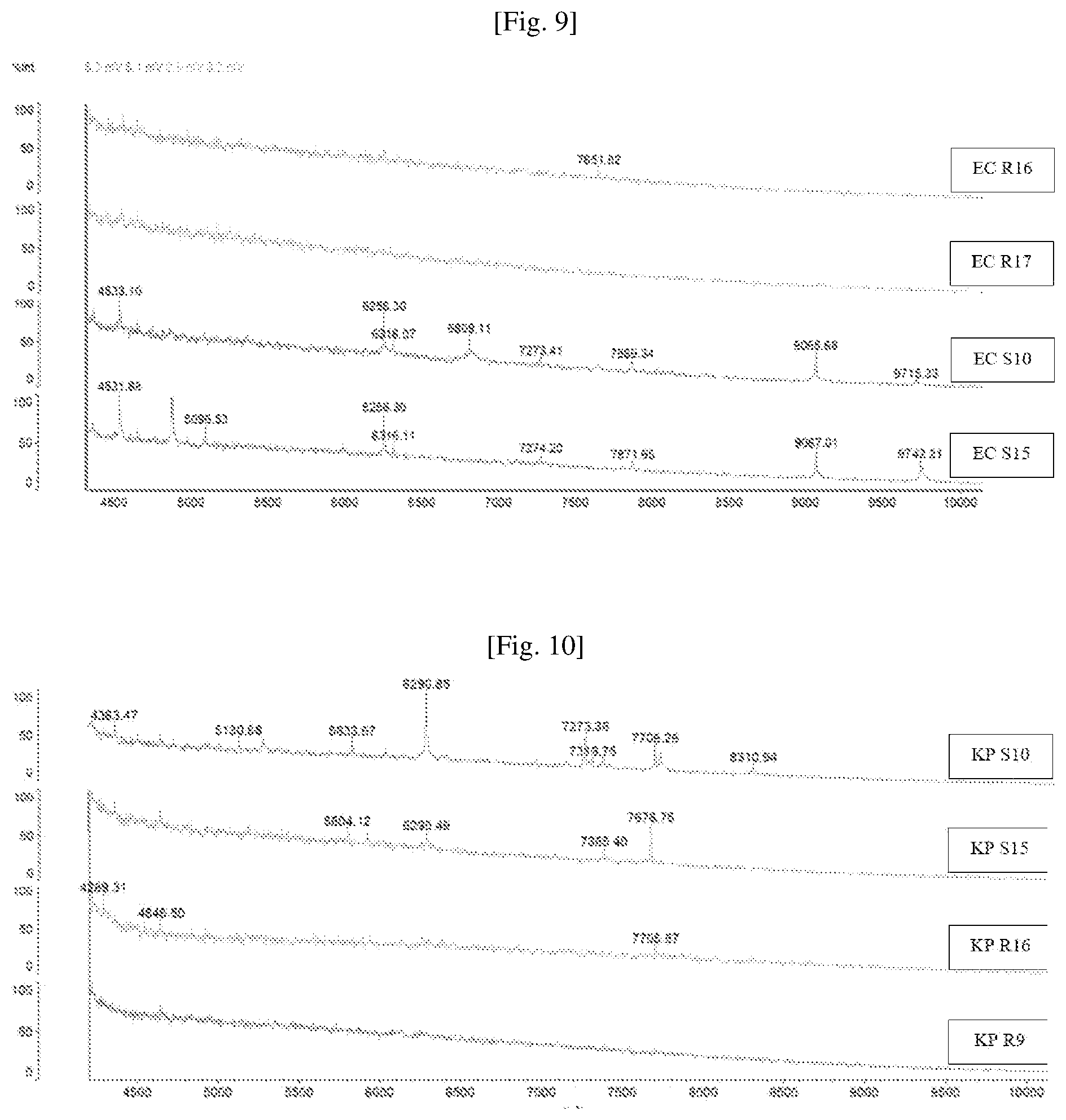 Patent US12460243 Figure 5 – Mass spectrometry determination of the sensitivity or resistance of bacteria to an antibiotic
