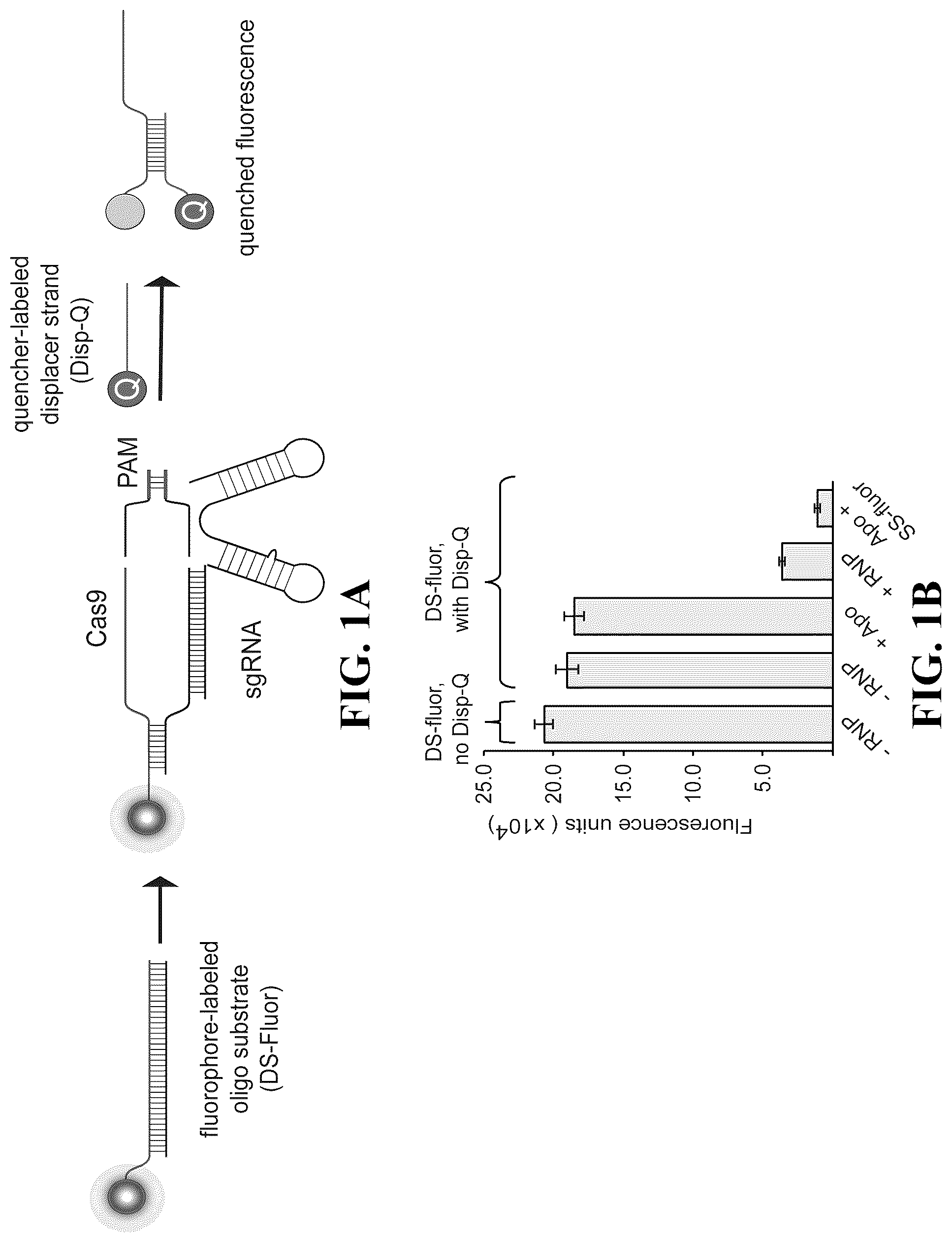 Patent US12460244 — Inhibitors of RNA-guided nuclease activity and uses thereof — Figure 1