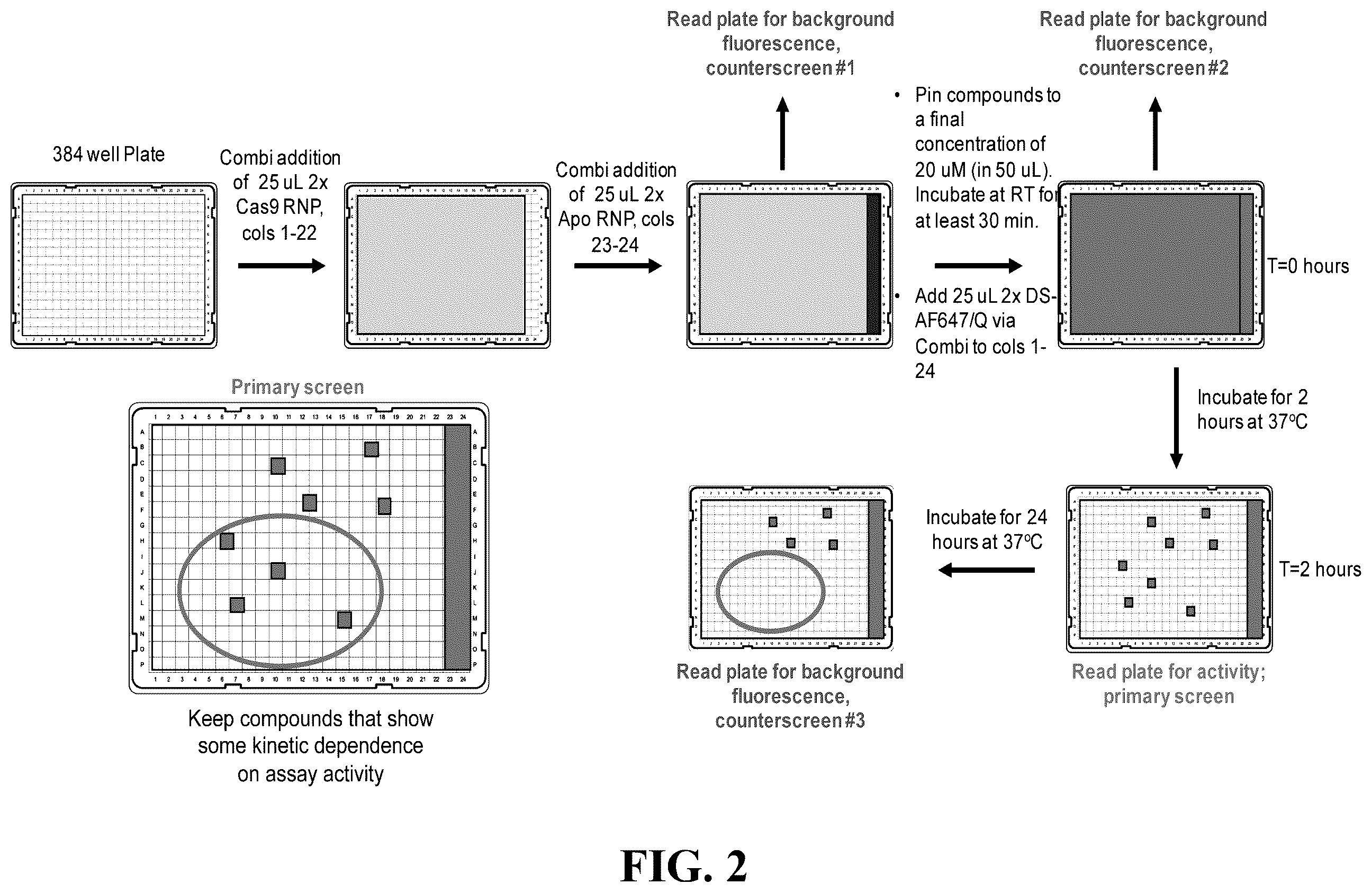 Patent US12460244 Figure 2 – Inhibitors of RNA-guided nuclease activity and uses thereof