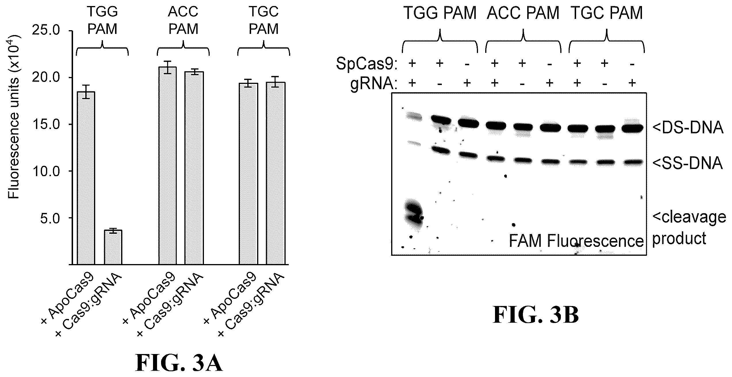 Patent US12460244 Figure 3 – Inhibitors of RNA-guided nuclease activity and uses thereof