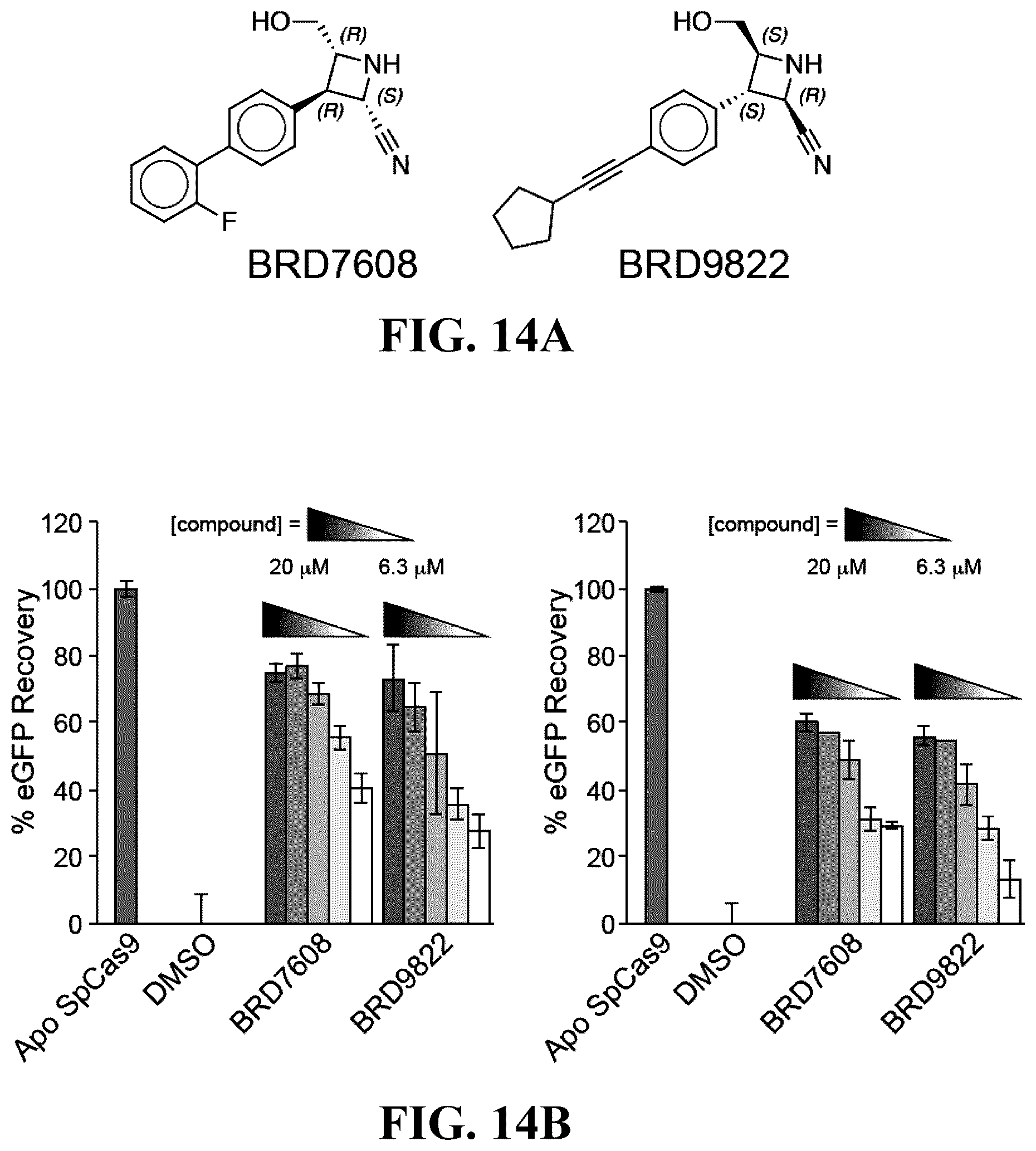 Patent US12460244 Figure 14 – Inhibitors of RNA-guided nuclease activity and uses thereof