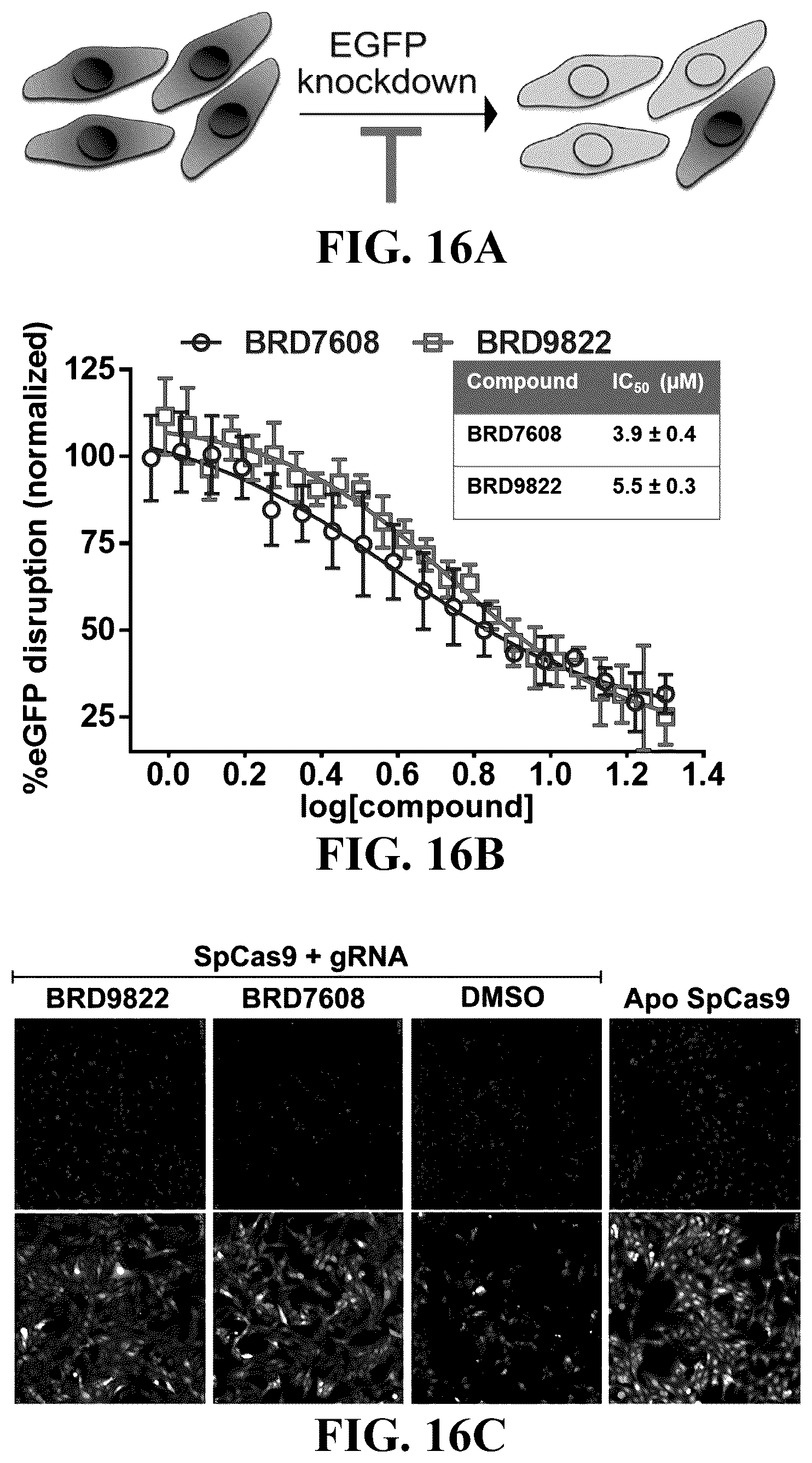 Patent US12460244 Figure 16 – Inhibitors of RNA-guided nuclease activity and uses thereof