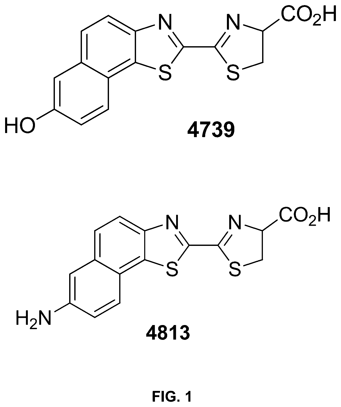 Patent US12460245 — Luciferase sequences utilizing infrared-emitting substrates to produce enhanced luminescence — Figure 1