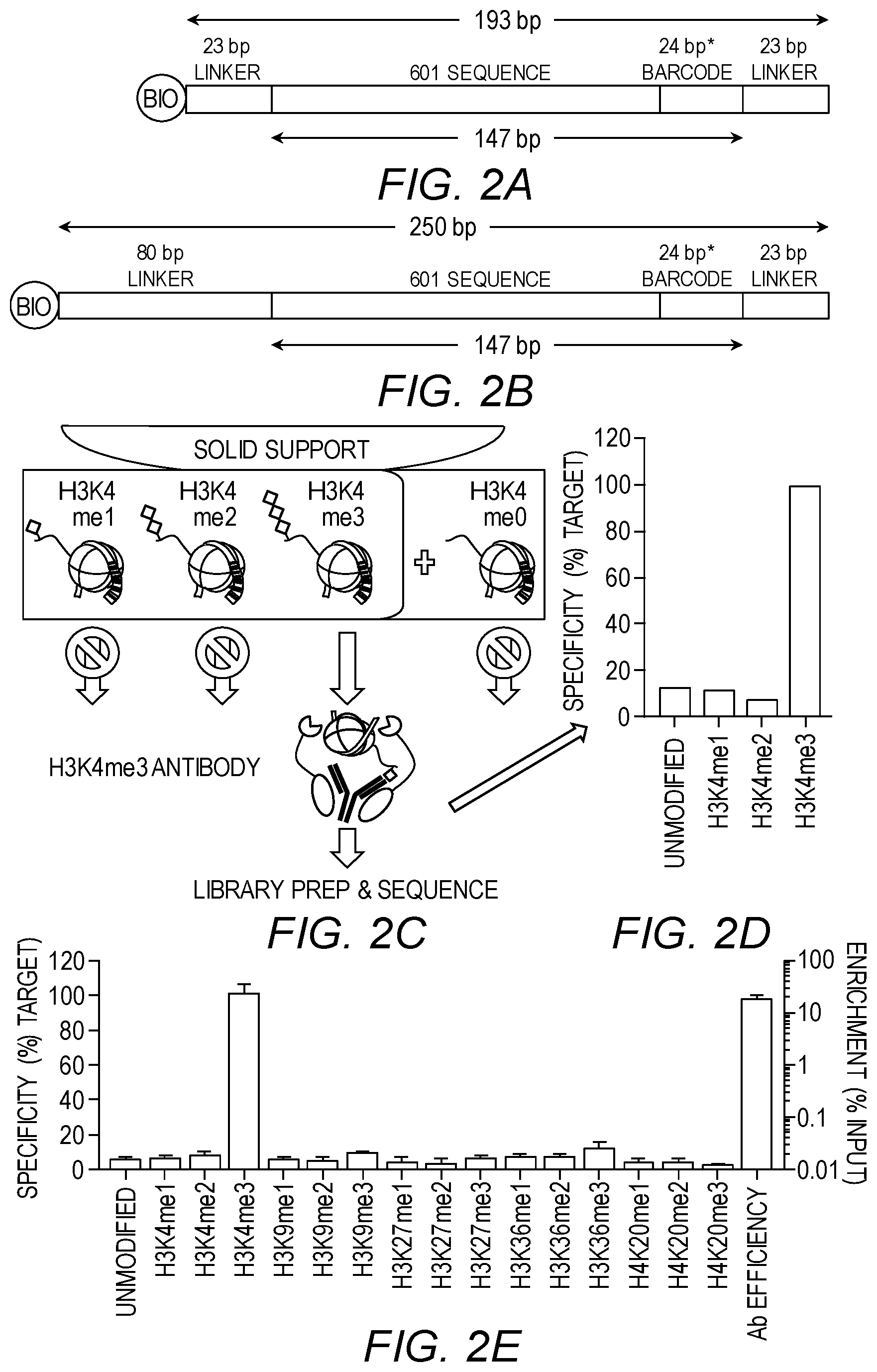 Patent US12460246 Figure 2 – DNA-barcoded nucleosomes for chromatin mapping assays