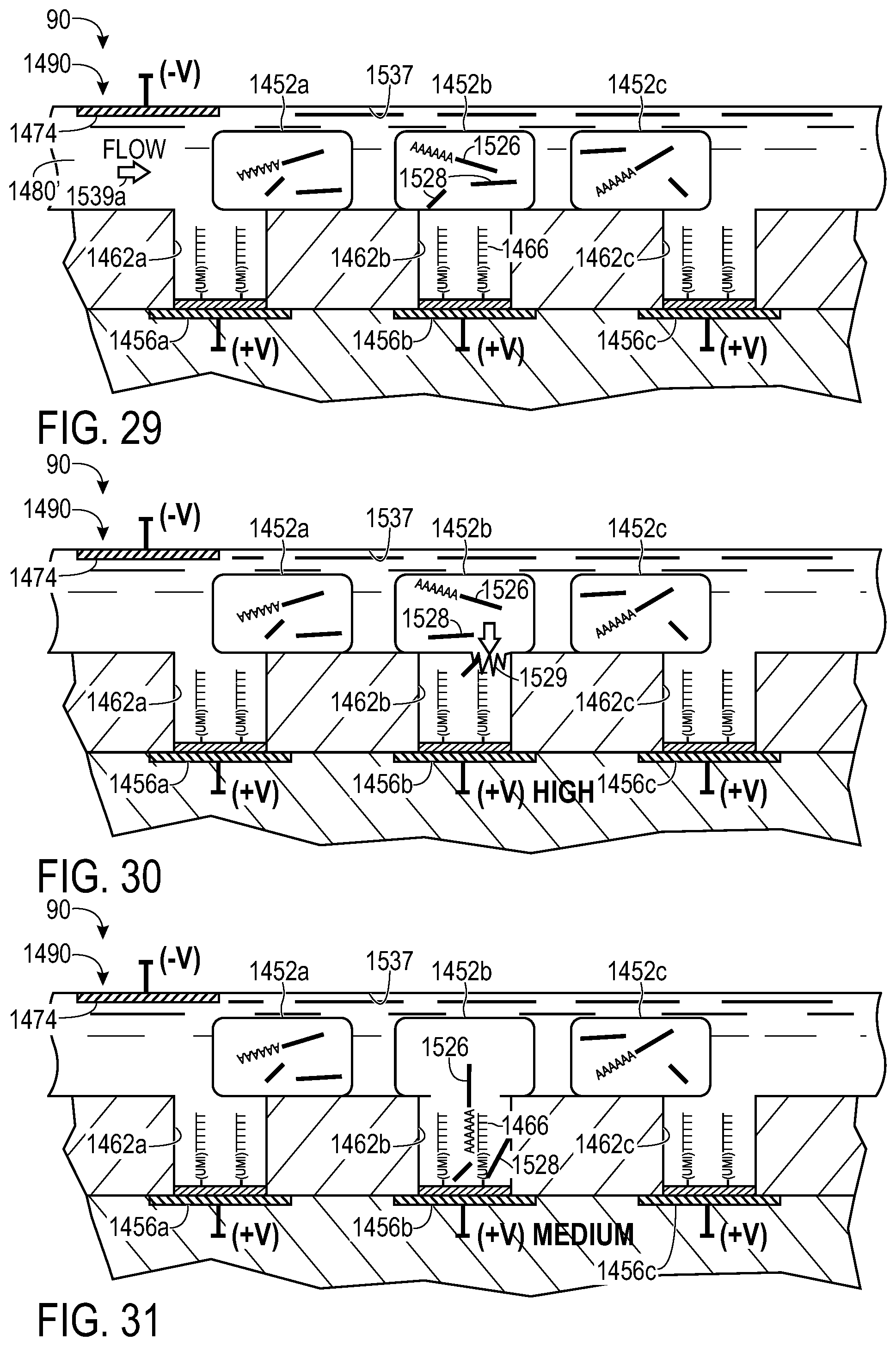 Patent US12460248 Figure 19 – Method and system for sampling material from cells