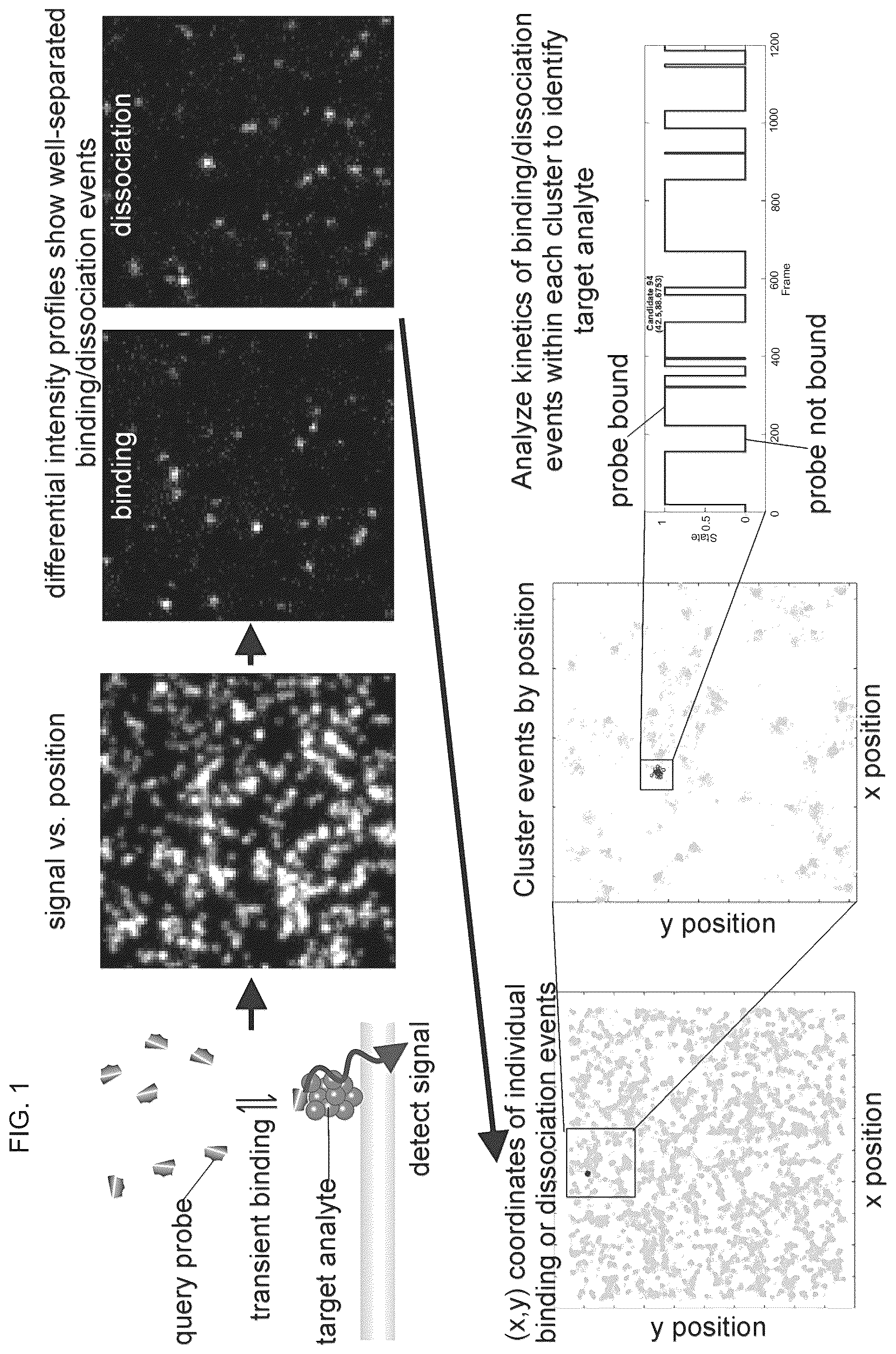 Patent US12460249 Figure 1 – Protein analyte detection by analizing time-dependent signals from transient binding events of labeled low-affinity probes
