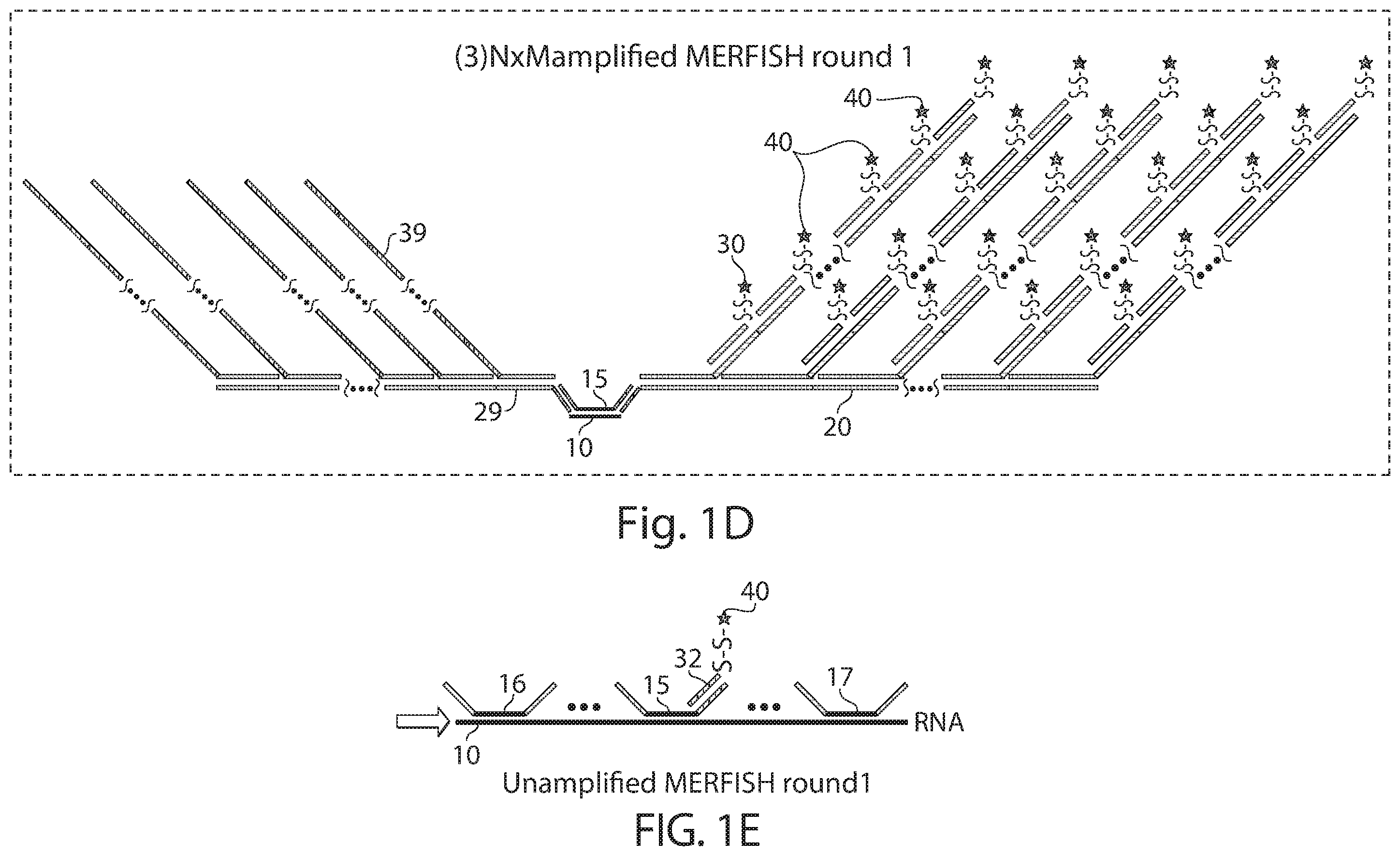 Patent US12460250 Figure 3 – Amplification methods and systems for MERFISH and other applications