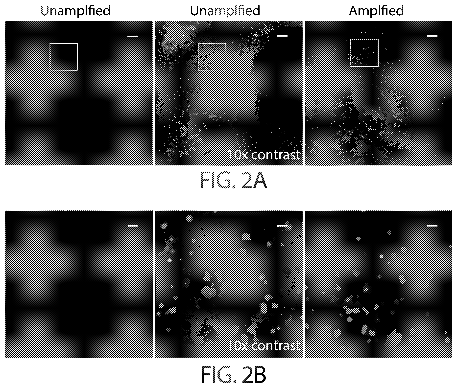 Patent US12460250 Figure 4 – Amplification methods and systems for MERFISH and other applications