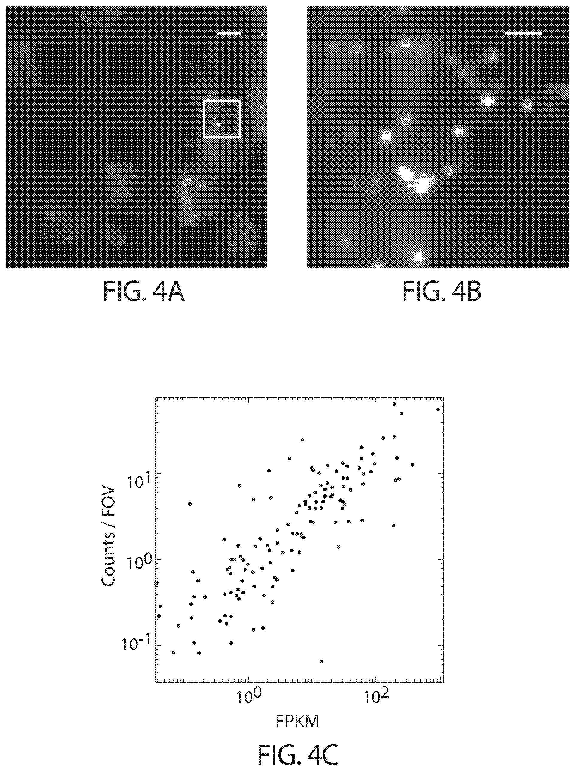Patent US12460250 Figure 9 – Amplification methods and systems for MERFISH and other applications