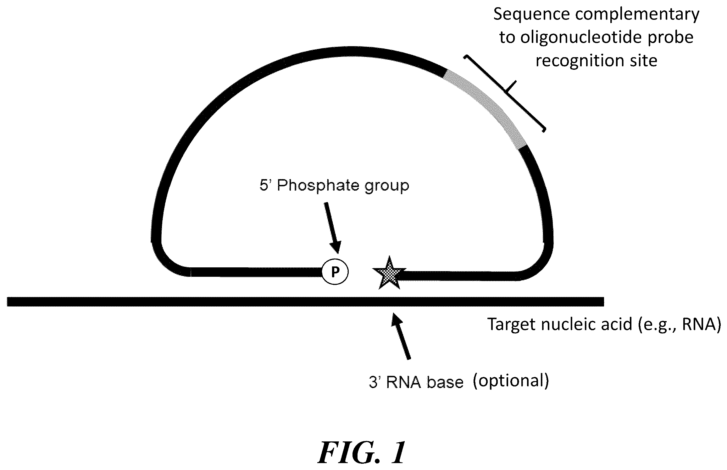 Patent US12460251 Figure 1 – Stabilization and/or compaction of nucleic acid molecules