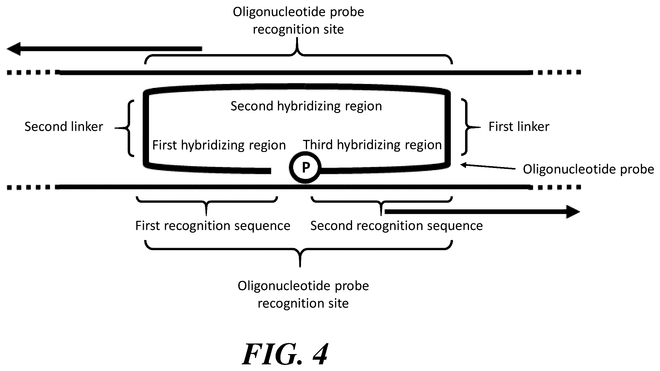 Patent US12460251 Figure 6 – Stabilization and/or compaction of nucleic acid molecules
