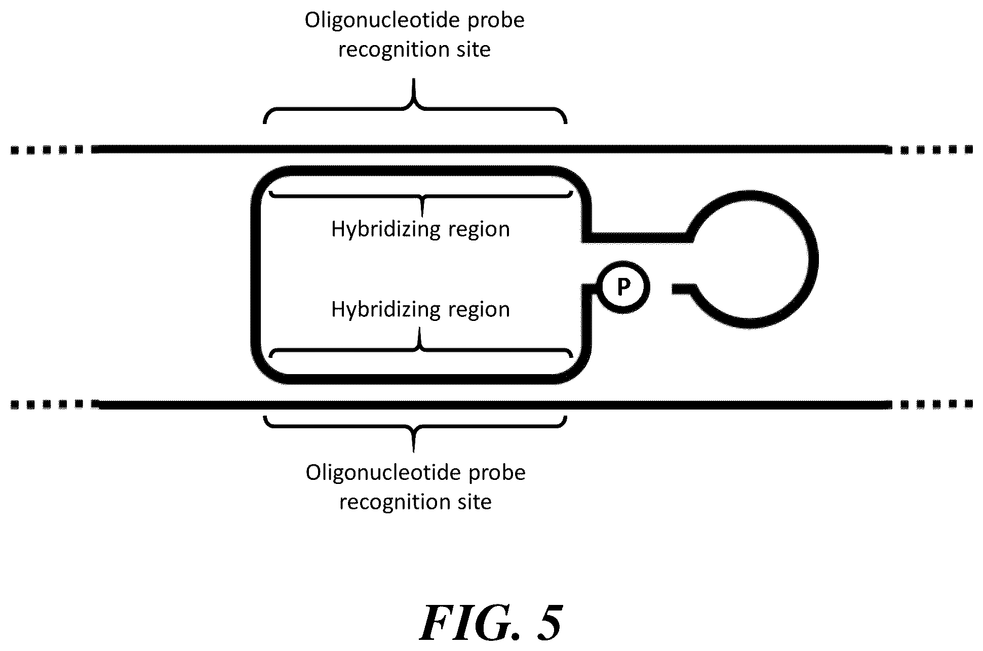 Patent US12460251 Figure 7 – Stabilization and/or compaction of nucleic acid molecules