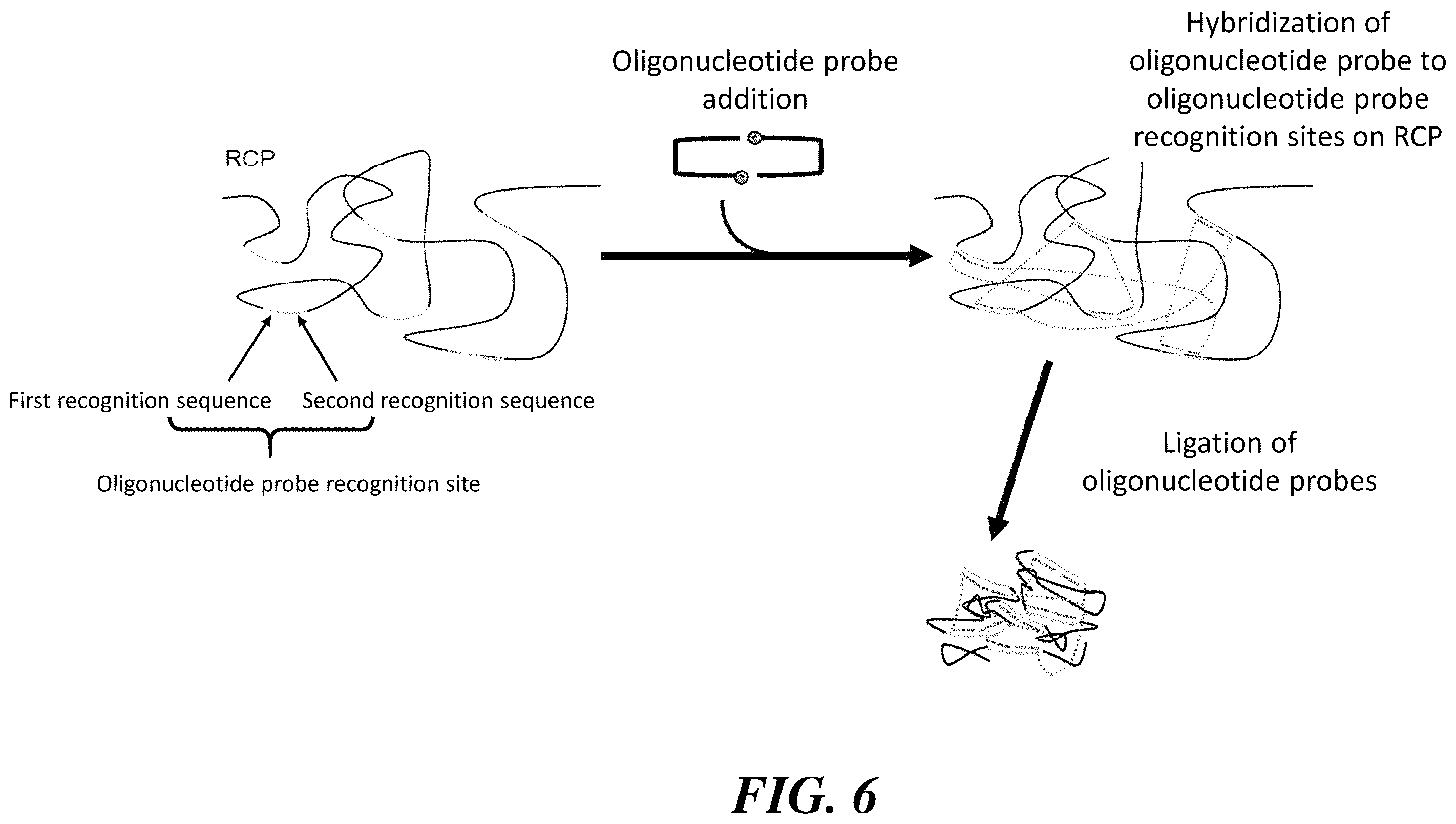 Patent US12460251 Figure 8 – Stabilization and/or compaction of nucleic acid molecules