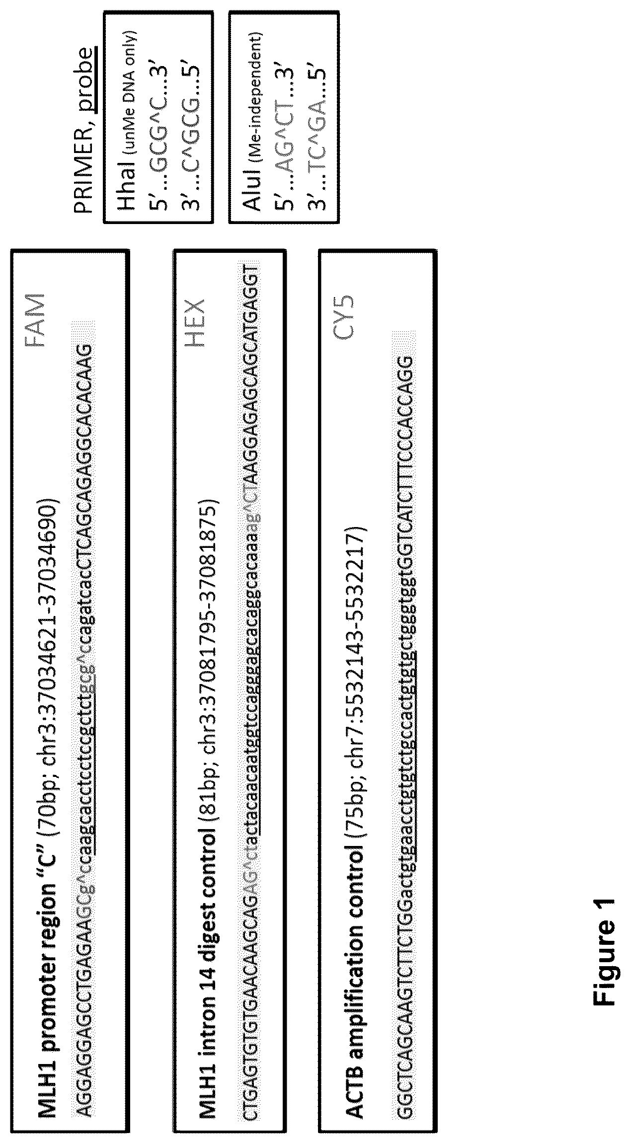 Patent US12460252 Figure 1 – MLH1 methylation assay