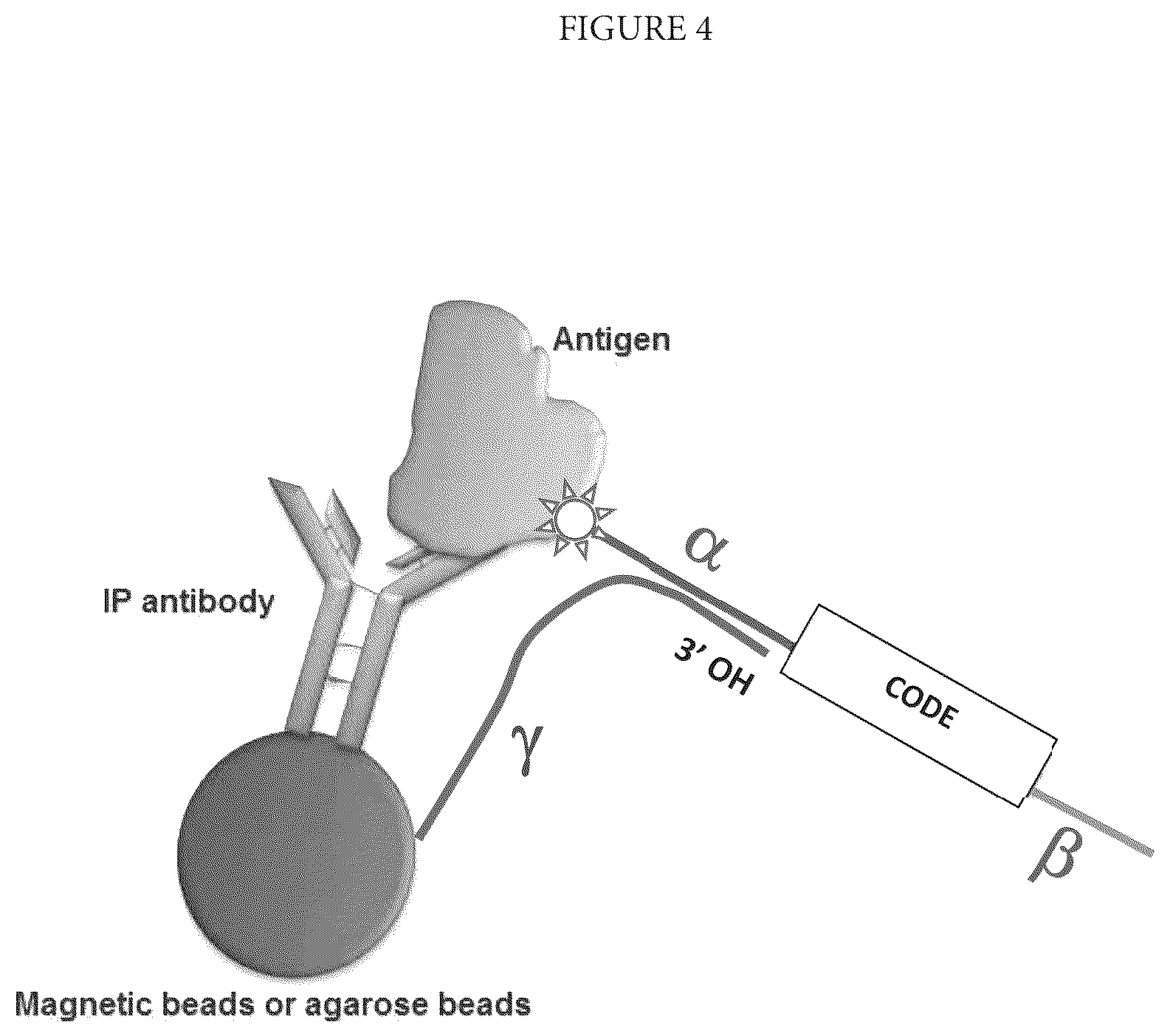 Patent US12460253 Figure 4 – Spatially oriented quantum barcoding of cellular targets