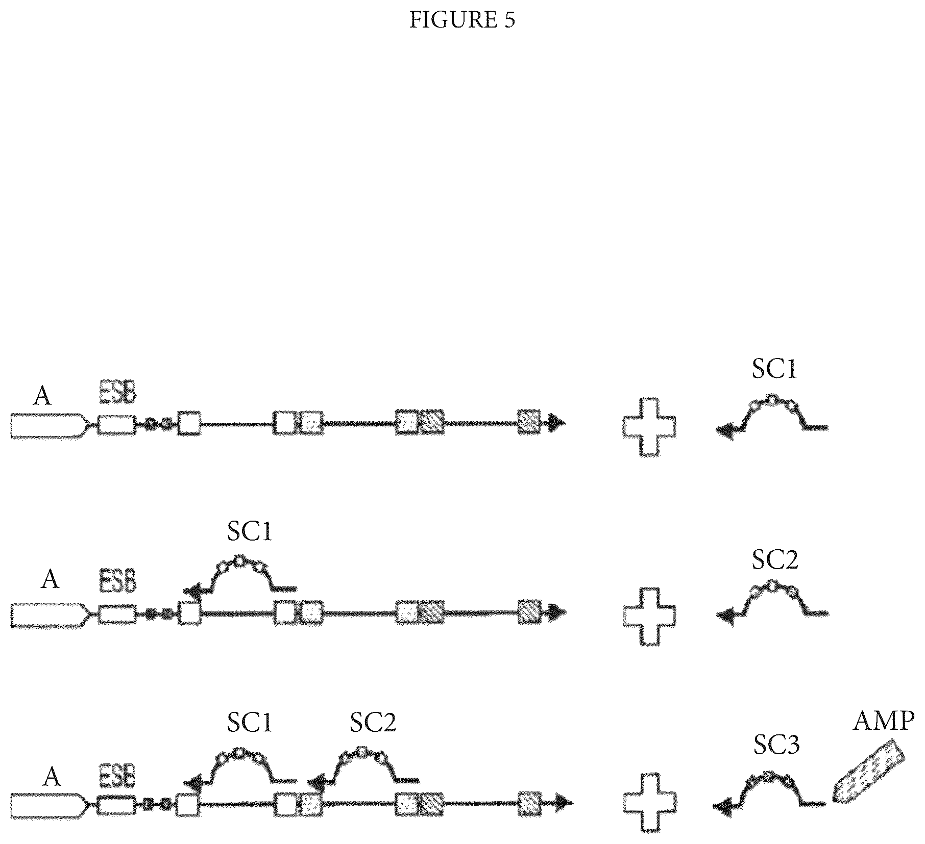 Patent US12460253 Figure 5 – Spatially oriented quantum barcoding of cellular targets