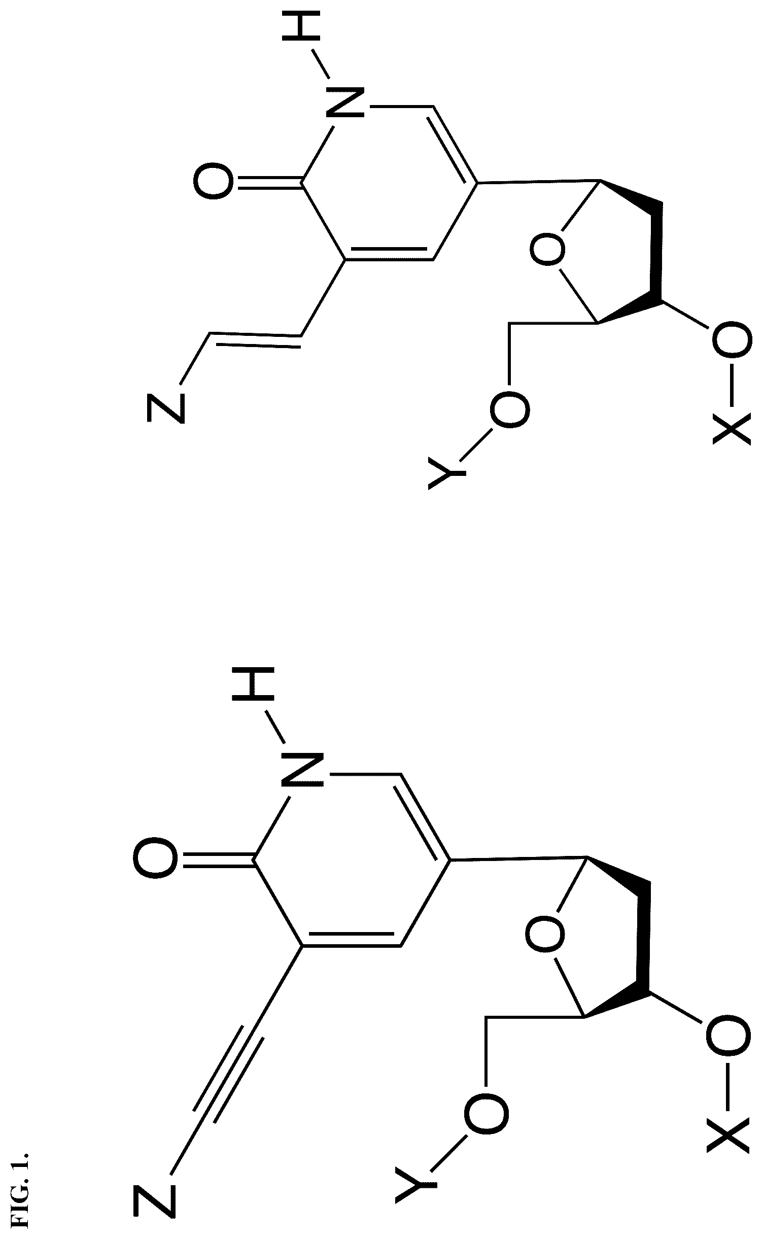 Patent US12460256 Figure 1 – Nucleotide analogs for efficient DNA and RNA amplification