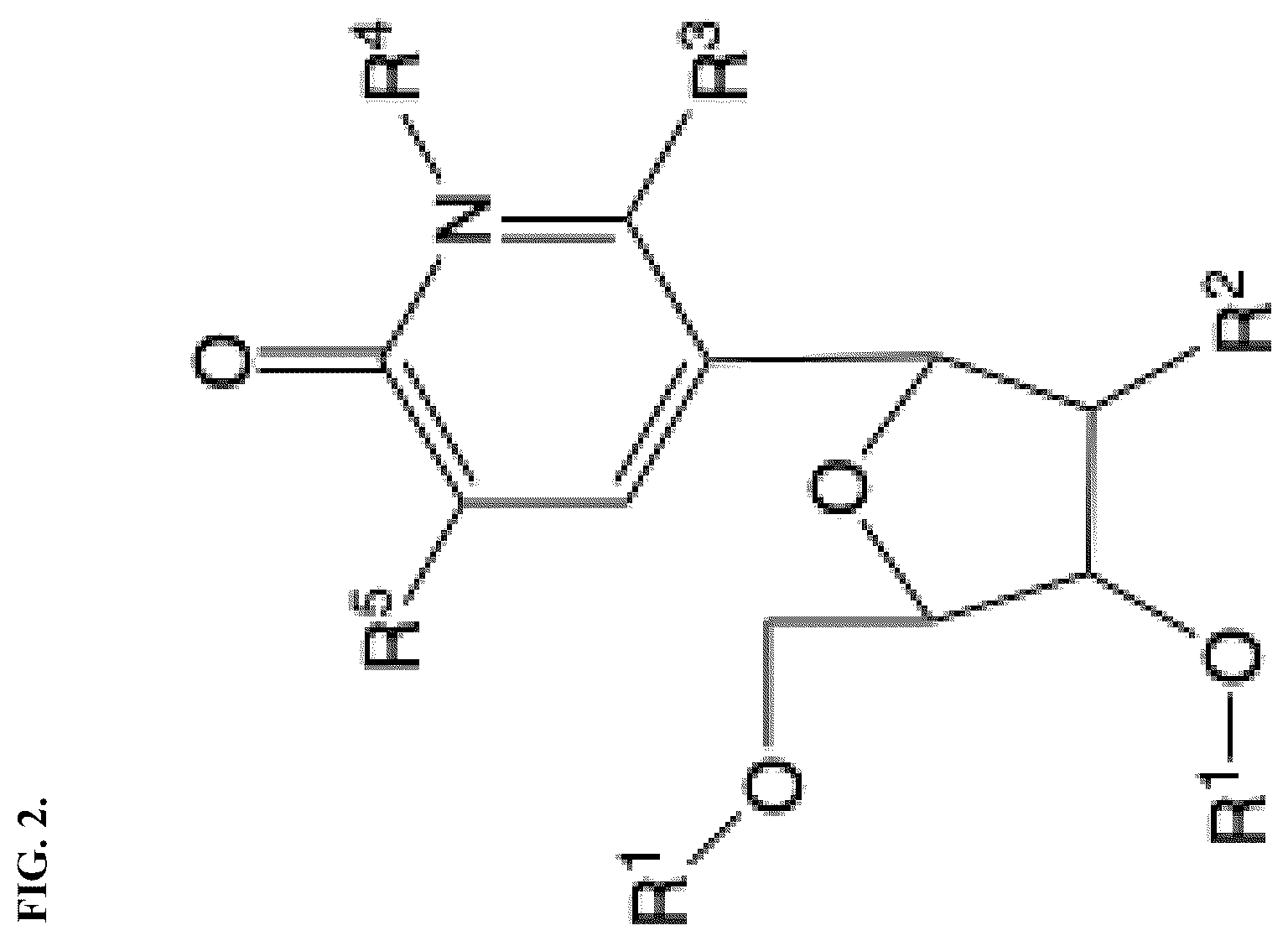 Patent US12460256 Figure 2 – Nucleotide analogs for efficient DNA and RNA amplification