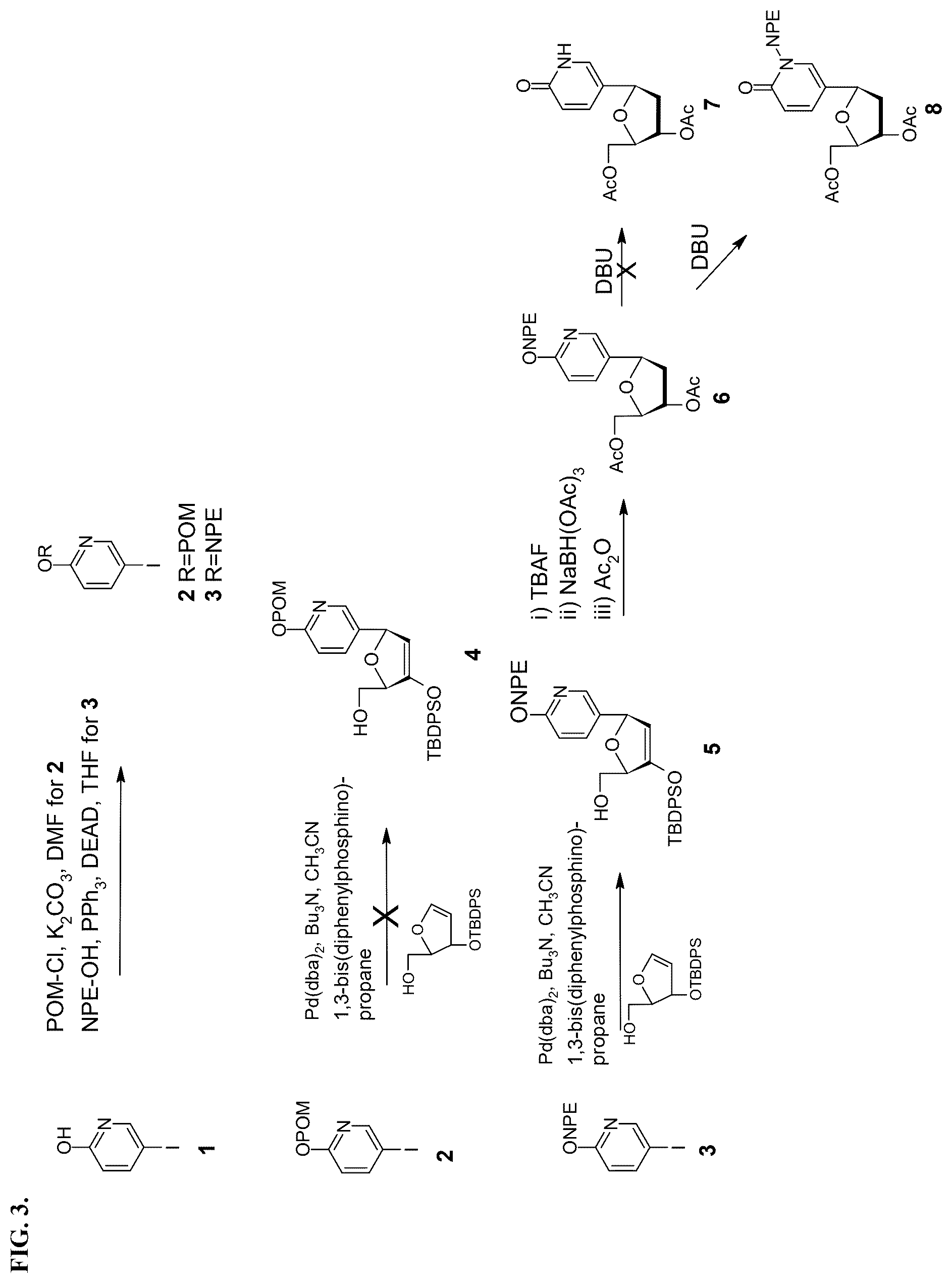Patent US12460256 Figure 3 – Nucleotide analogs for efficient DNA and RNA amplification