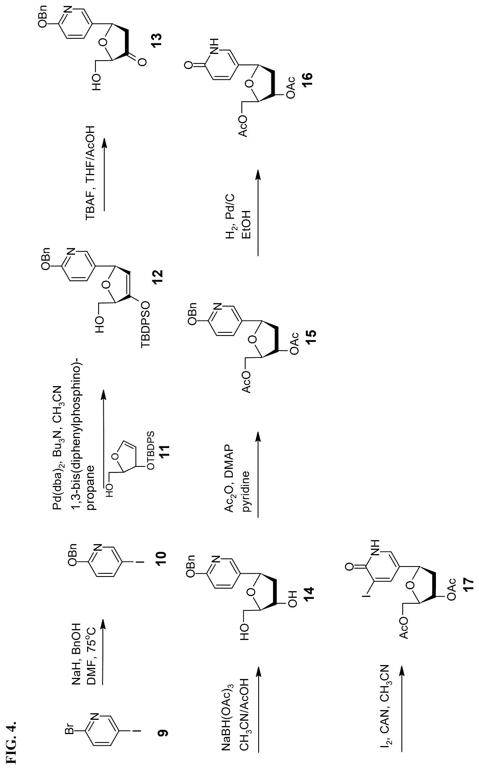Patent US12460256 Figure 4 – Nucleotide analogs for efficient DNA and RNA amplification