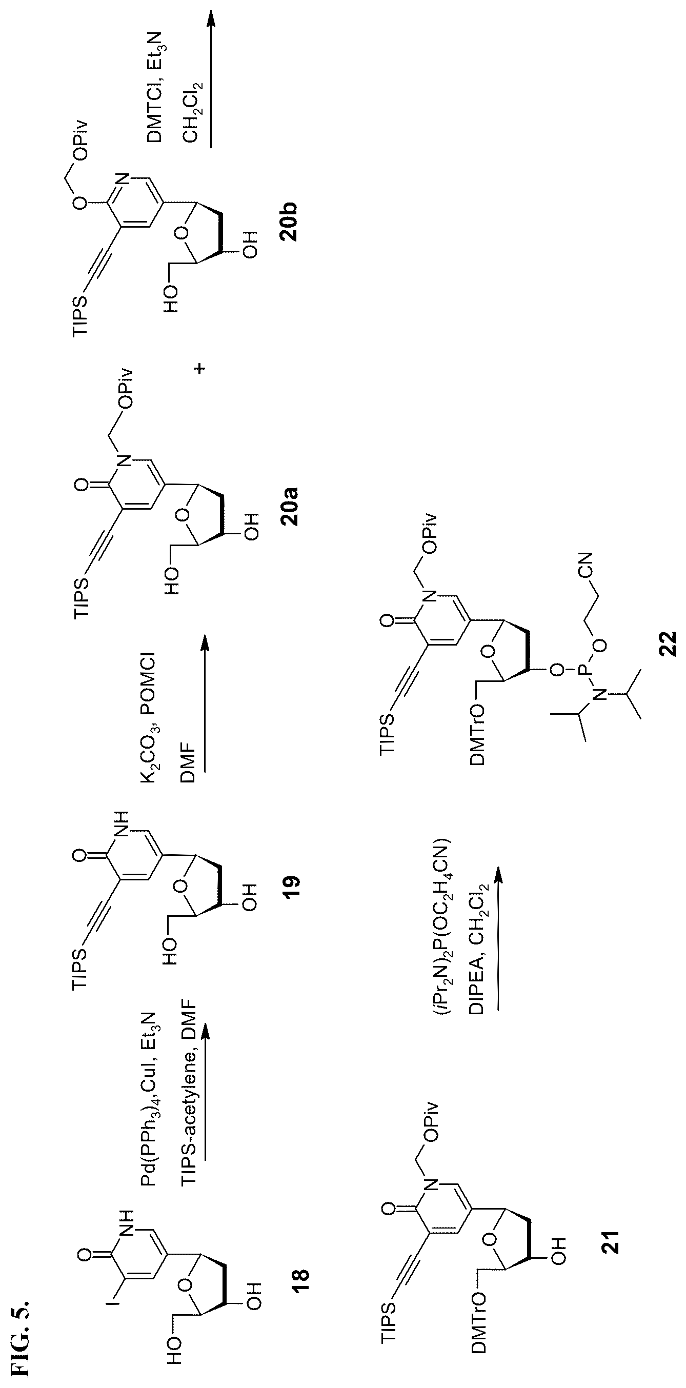 Patent US12460256 Figure 5 – Nucleotide analogs for efficient DNA and RNA amplification