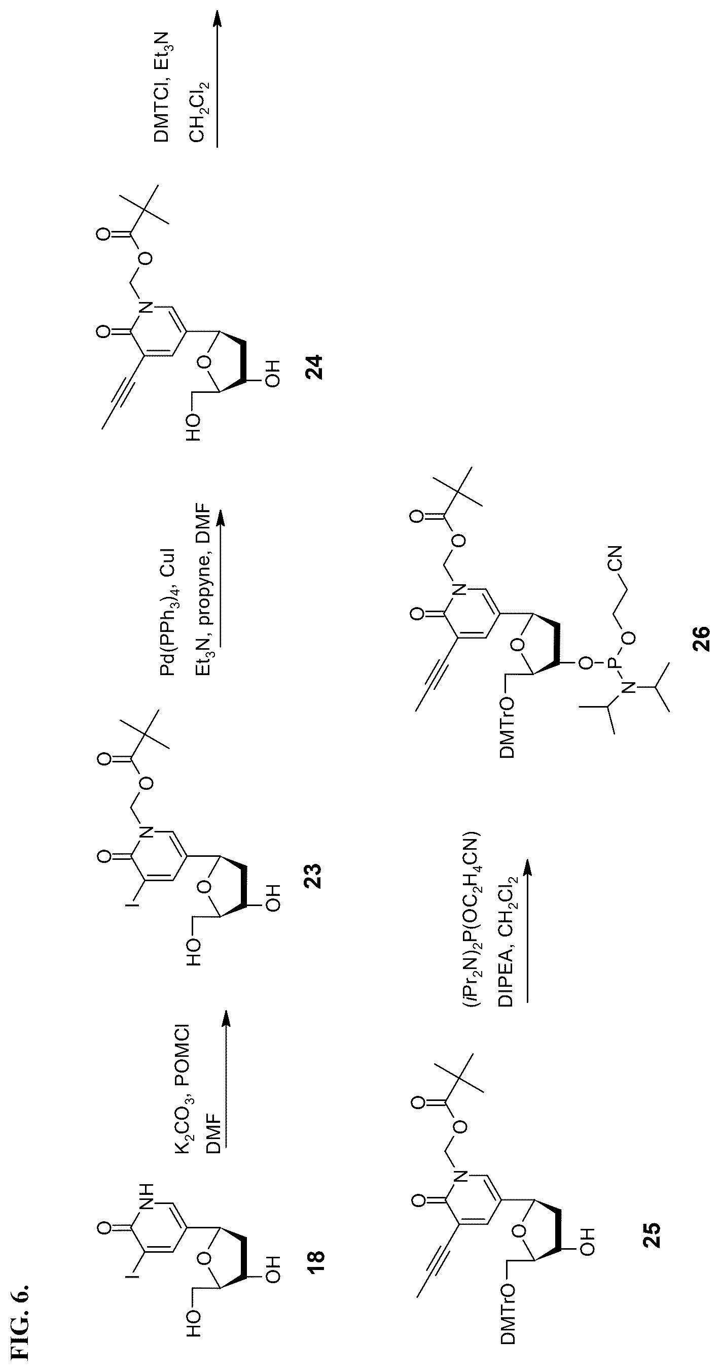 Patent US12460256 Figure 6 – Nucleotide analogs for efficient DNA and RNA amplification