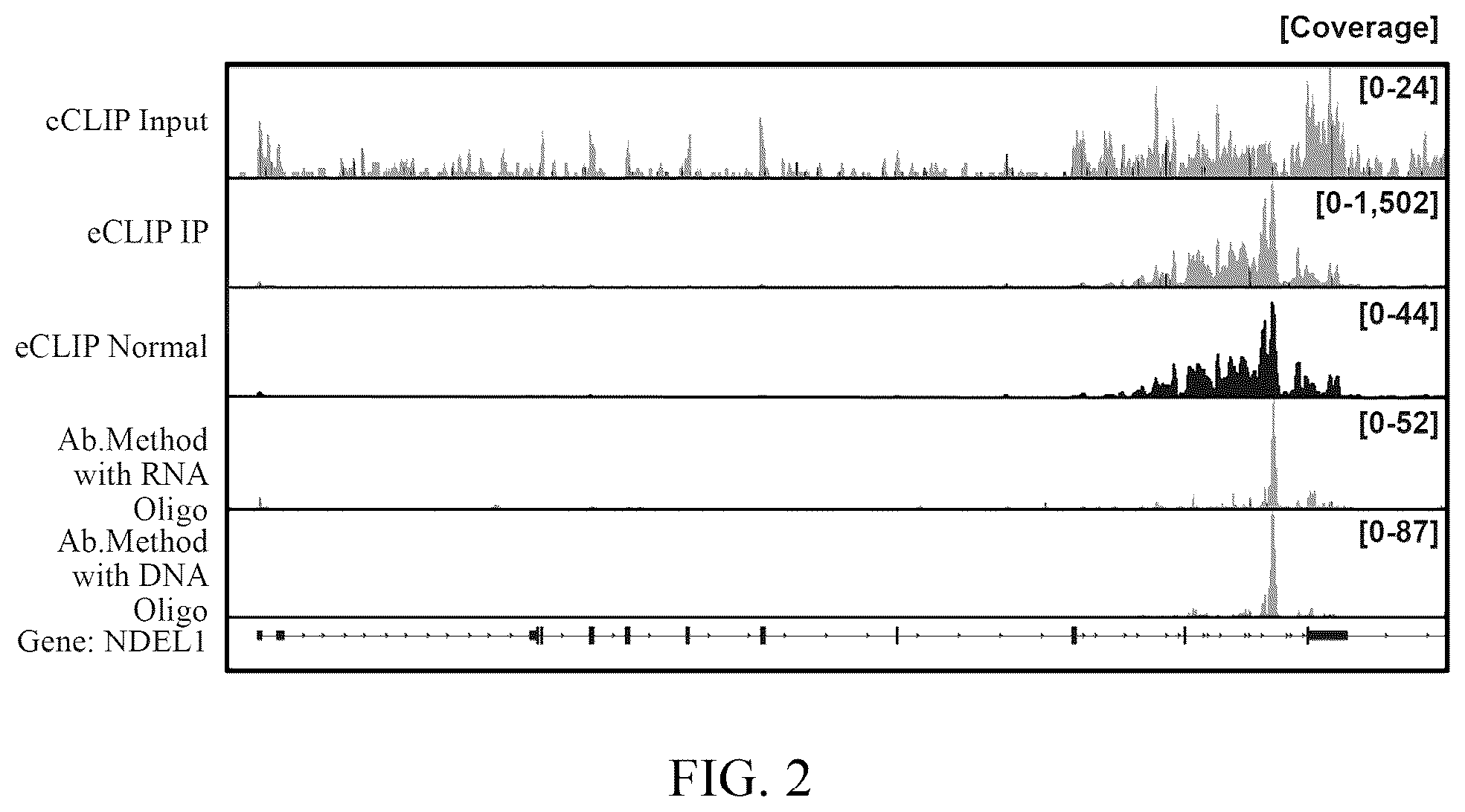 Patent US12460257 Figure 2 – Methods for detecting RNA binding protein complexes