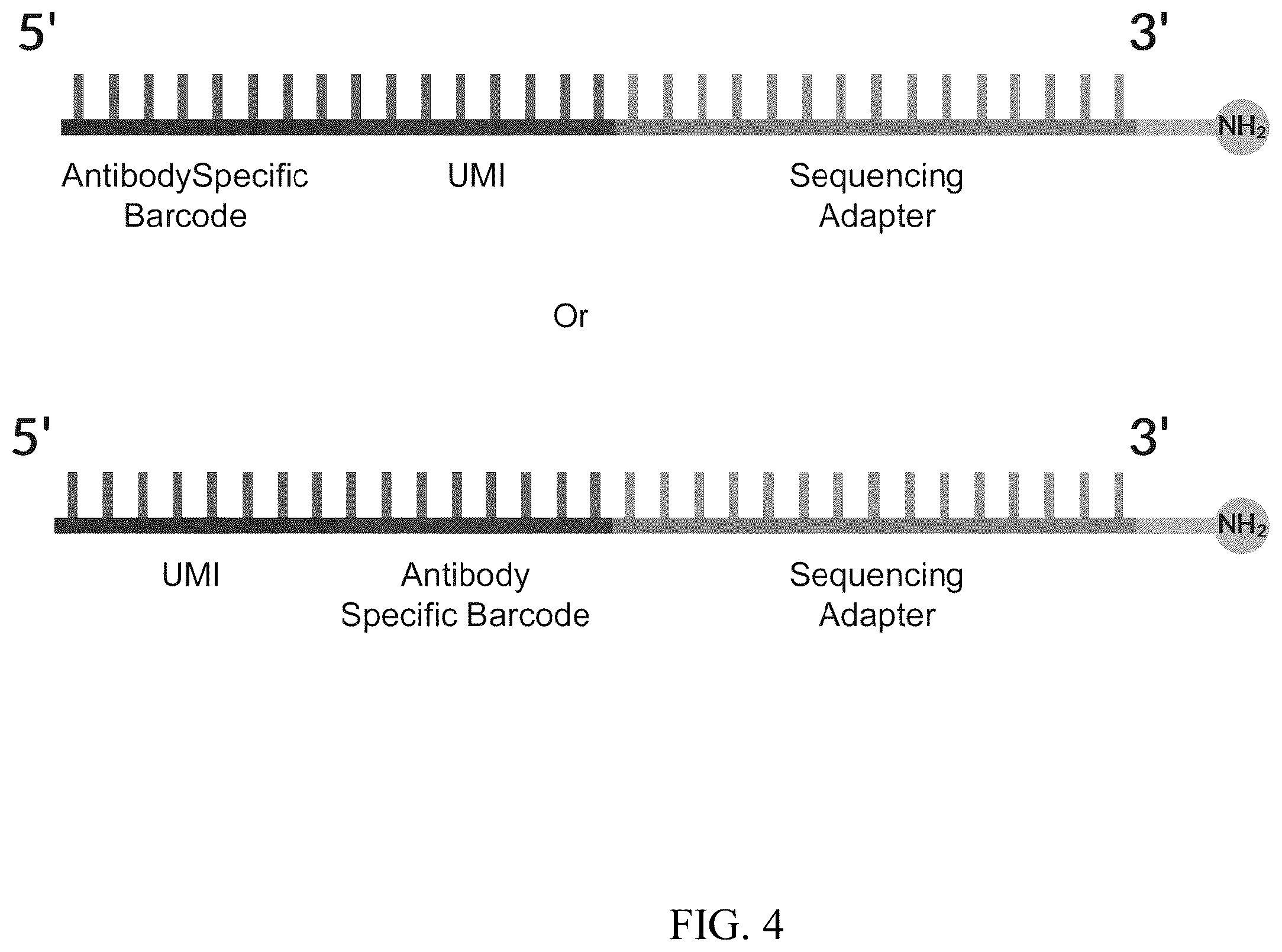 Patent US12460257 Figure 4 – Methods for detecting RNA binding protein complexes