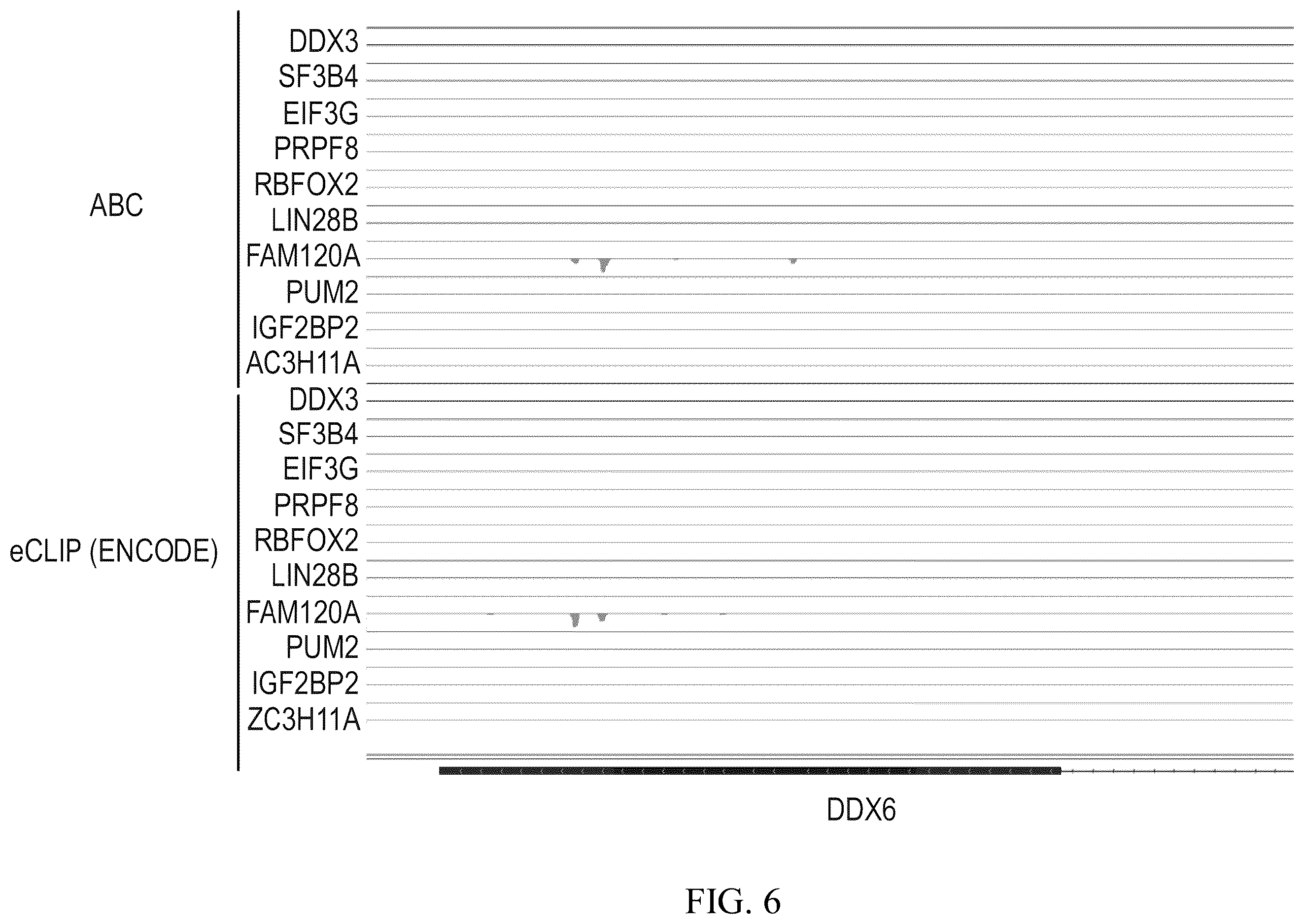 Patent US12460257 Figure 6 – Methods for detecting RNA binding protein complexes