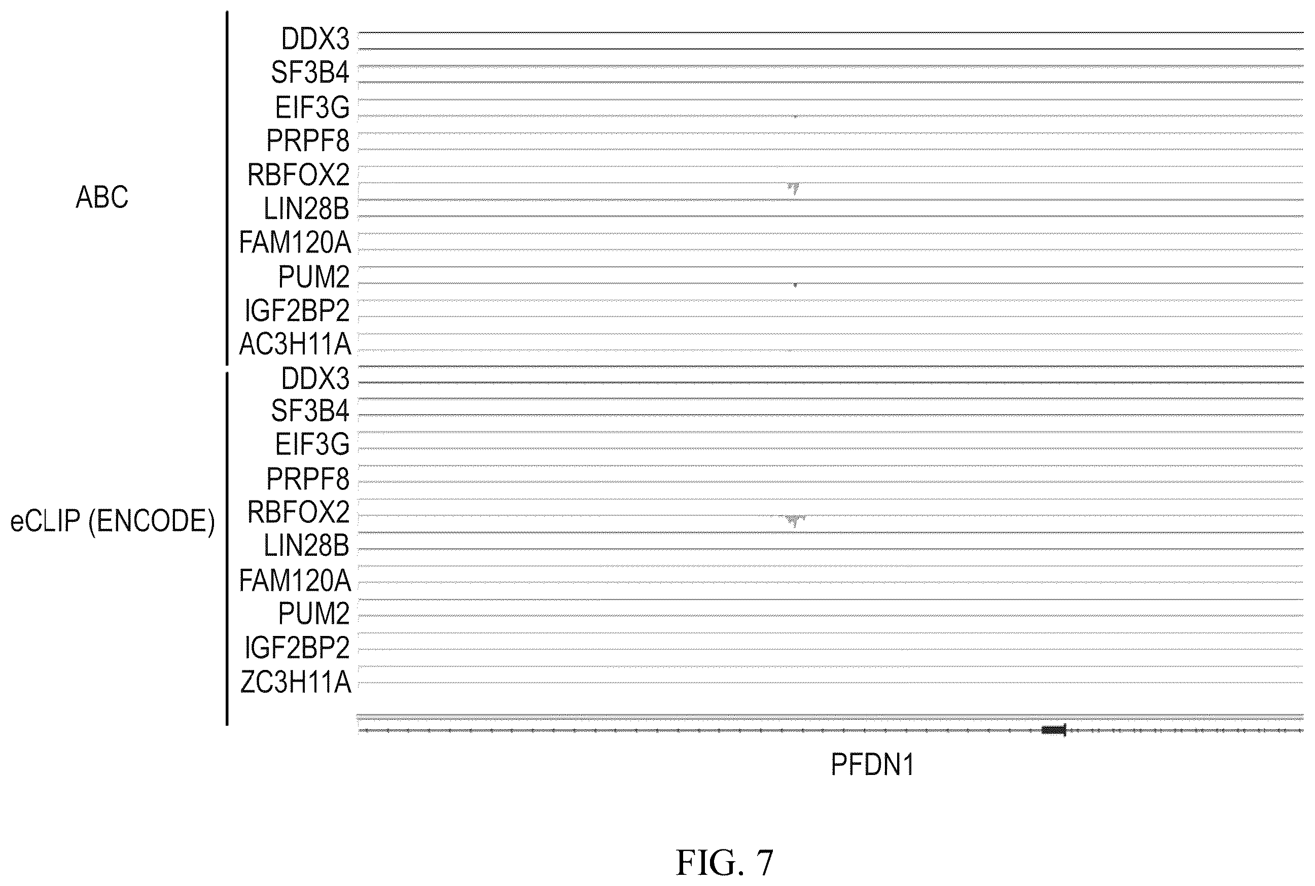 Patent US12460257 Figure 7 – Methods for detecting RNA binding protein complexes